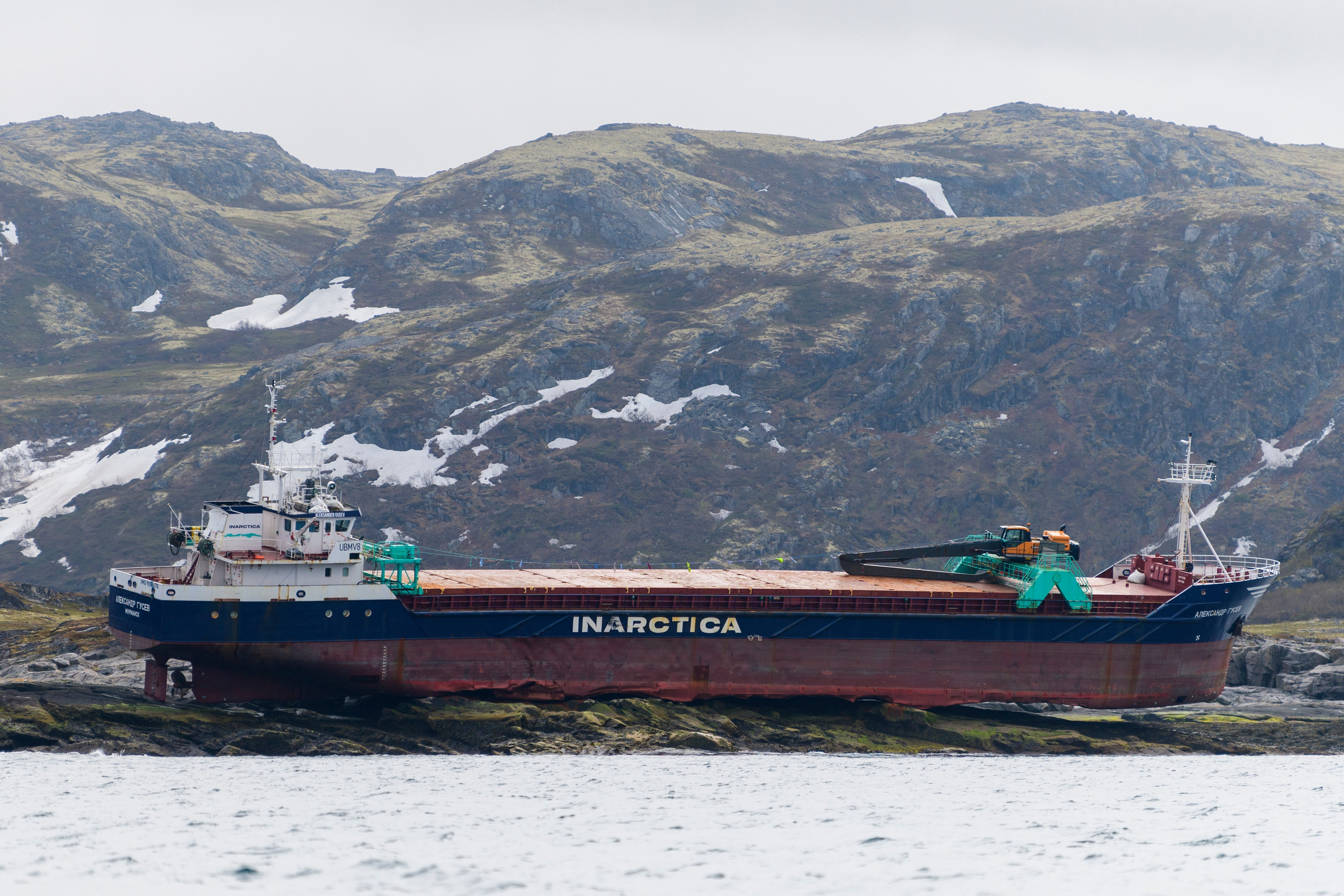 Мурманская область. Июнь 2024. Фотограф Сергей Пупонин