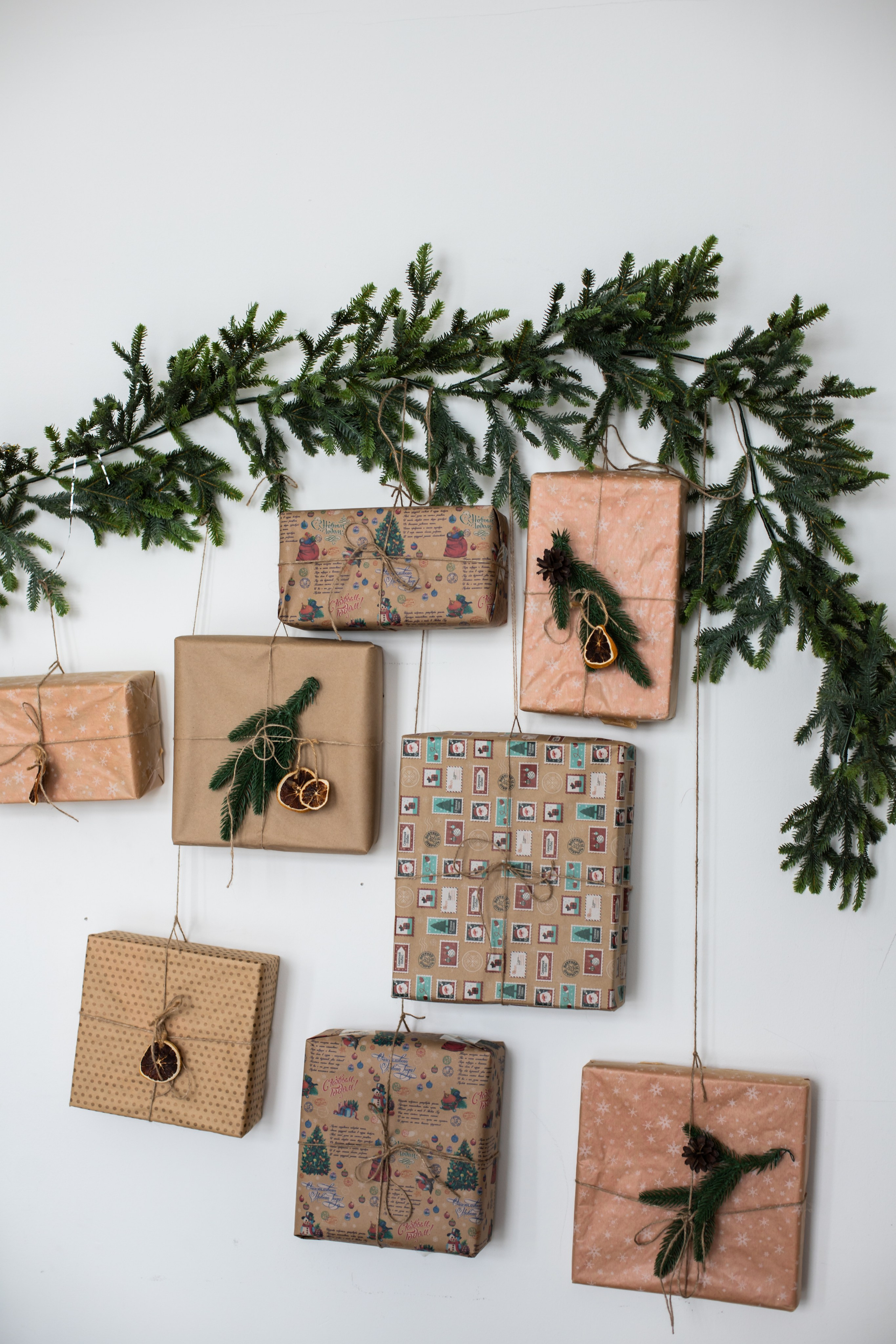 Циклорама. Фотограф г. Хабаровск. Семейные и индивидуальные съёмки