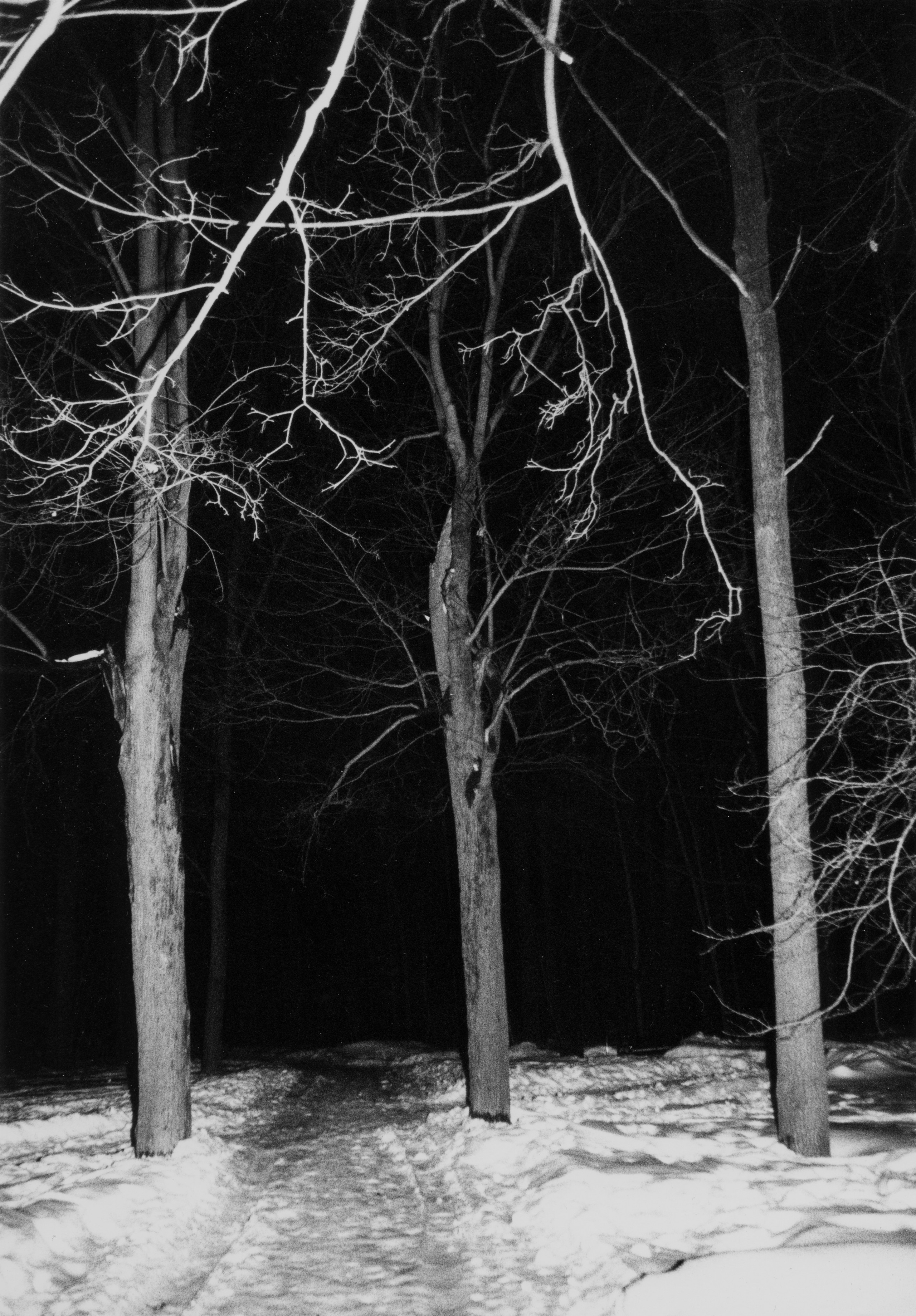 Prints. Maria Abdullaeva