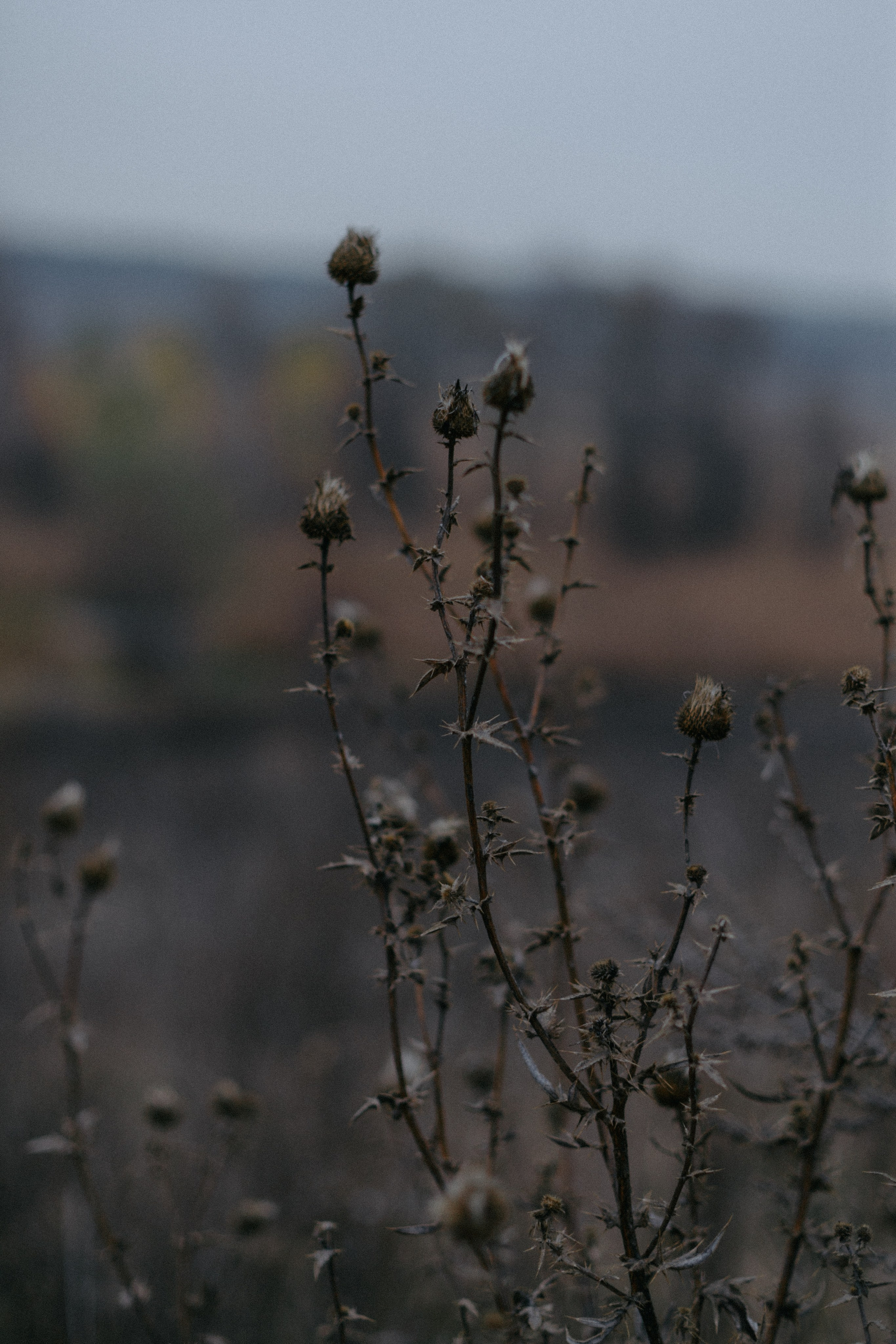 Рита. Семейный фотограф в Белгороде
