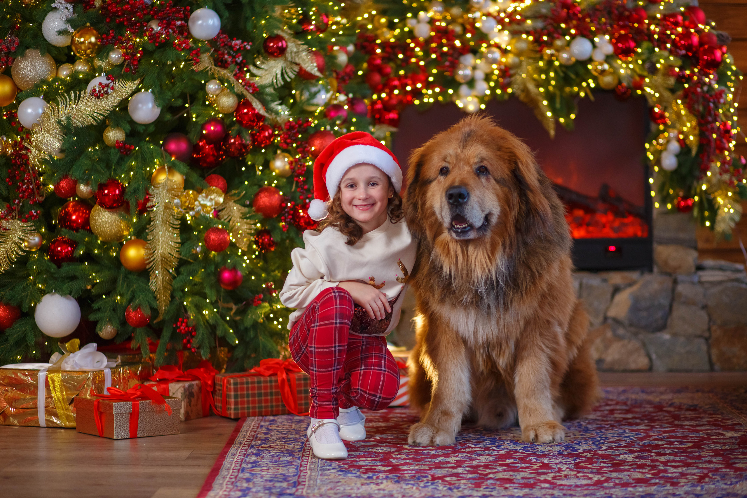 НОВЫЙ ГОД. Школьный фотограф Наталья Егорова