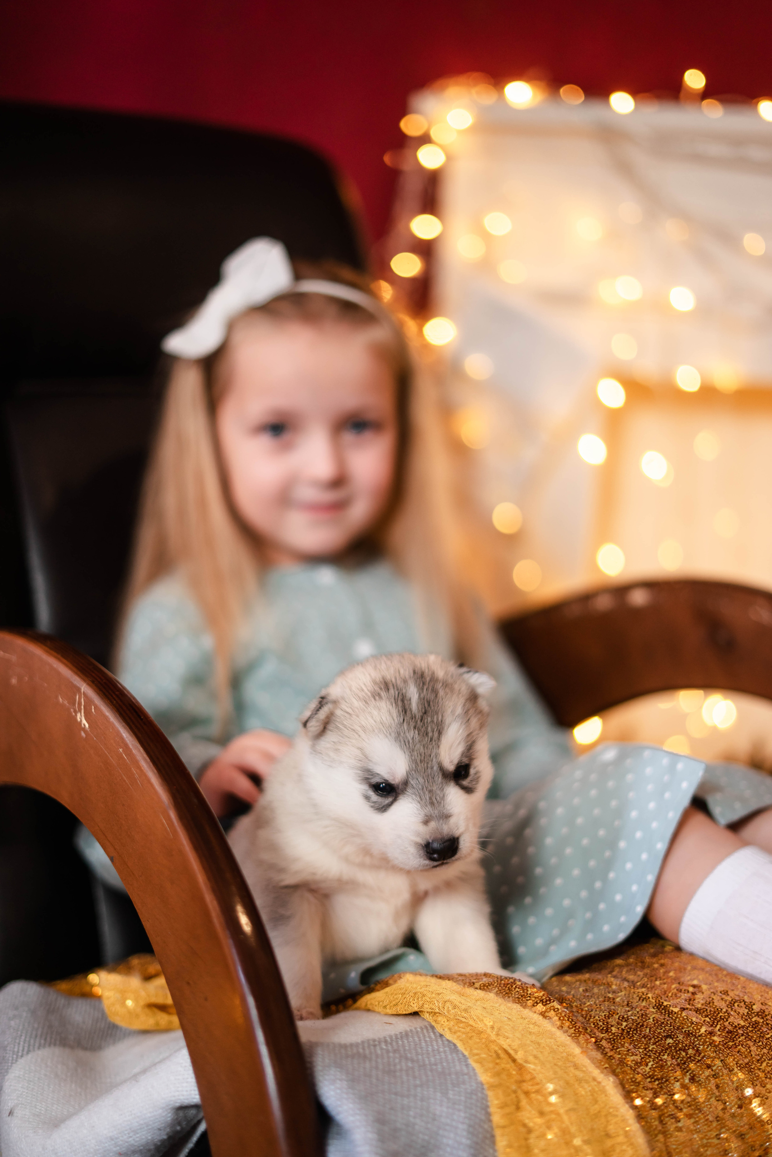 Фотосессия с Хаски!. Семейный и детский фотограф в Екатеринбурге и НевьянскеТимурова Алина