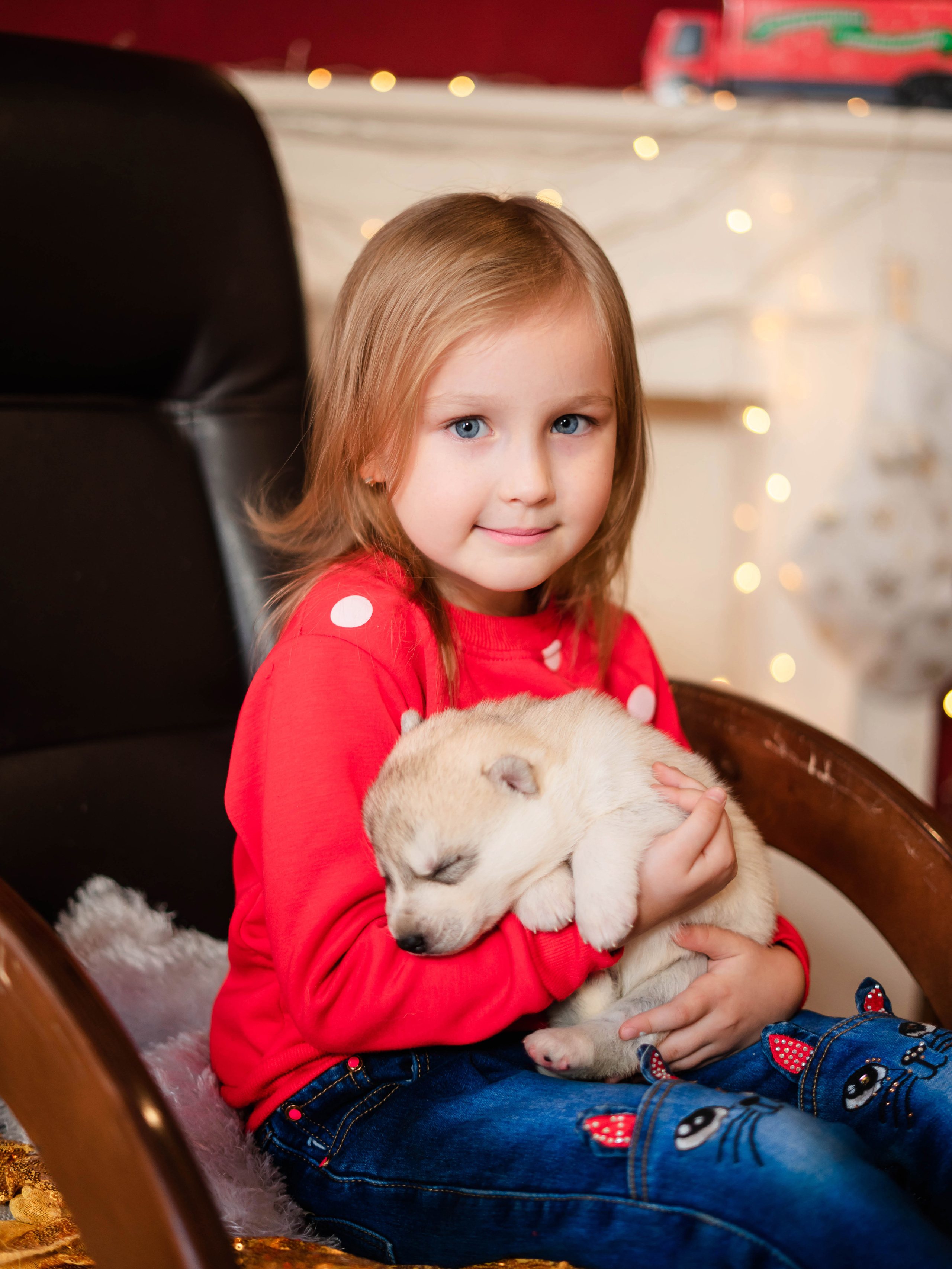 Фотосессия с Хаски!. Семейный и детский фотограф в Екатеринбурге и НевьянскеТимурова Алина