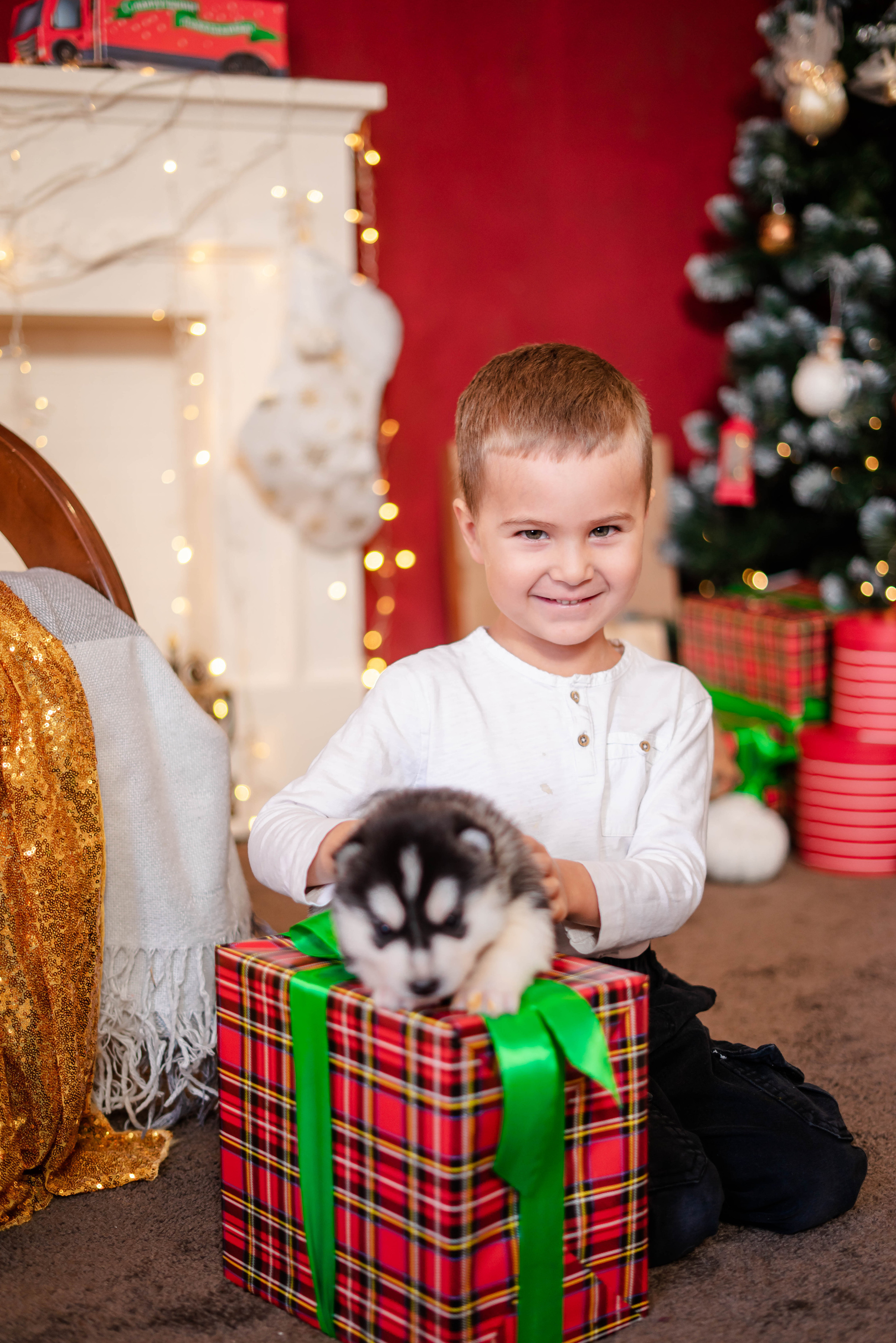 Фотосессия с Хаски!. Семейный и детский фотограф в Екатеринбурге и НевьянскеТимурова Алина