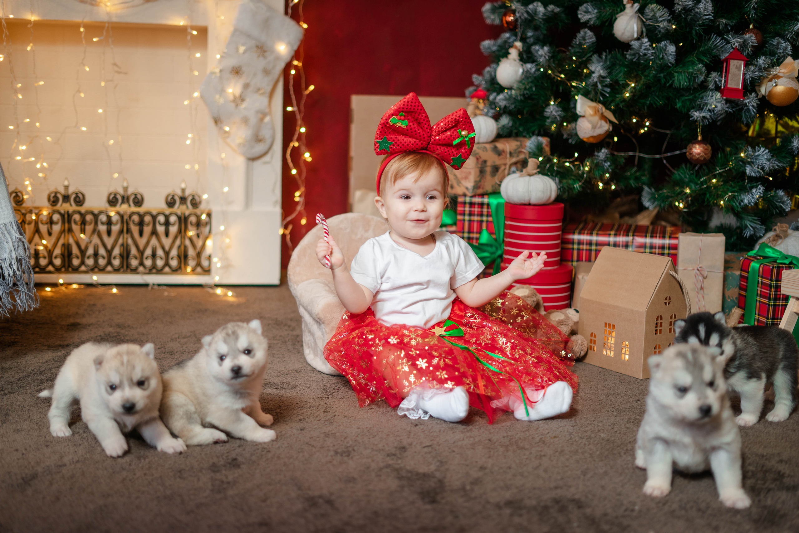 Фотосессия с Хаски!. Семейный и детский фотограф в Екатеринбурге и НевьянскеТимурова Алина