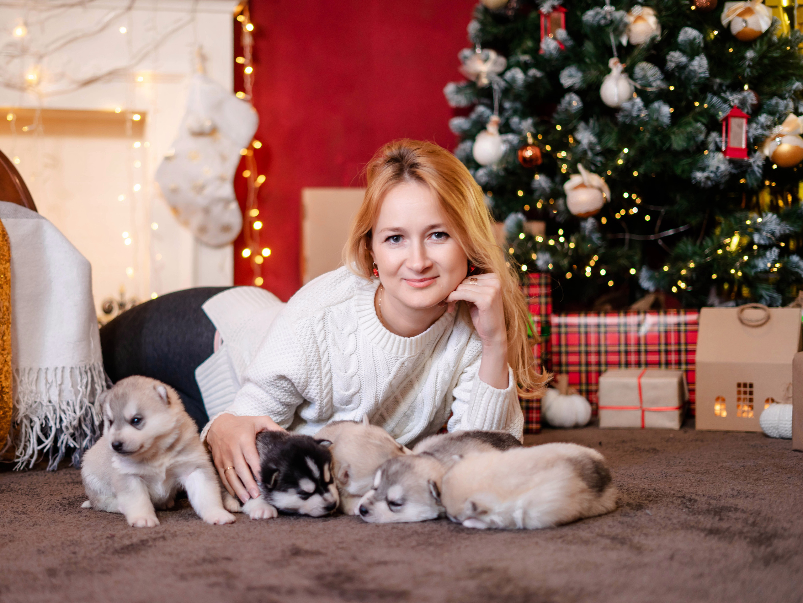 Фотосессия с Хаски!. Семейный и детский фотограф в Екатеринбурге и НевьянскеТимурова Алина