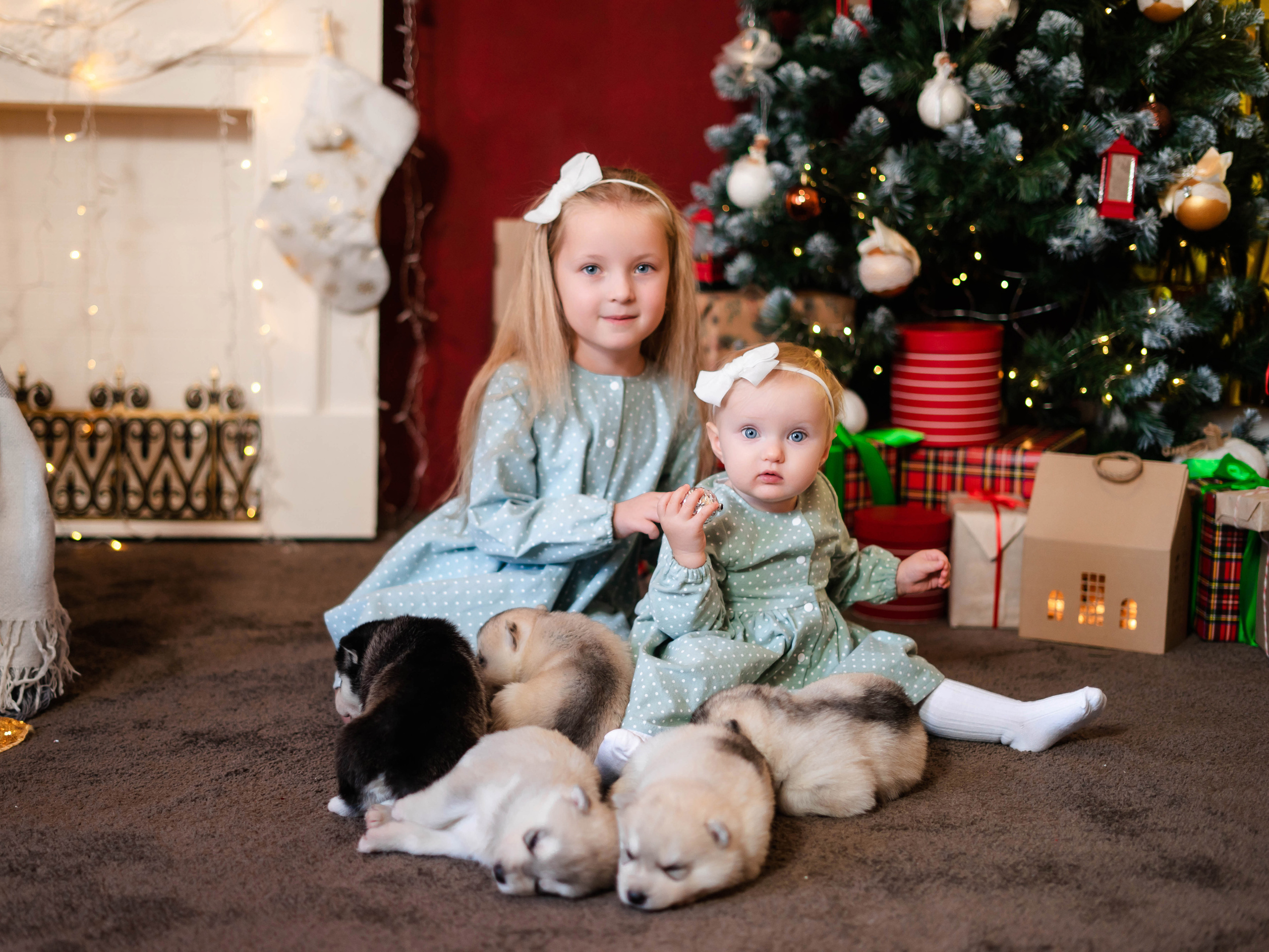 Фотосессия с Хаски!. Семейный и детский фотограф в Екатеринбурге и НевьянскеТимурова Алина