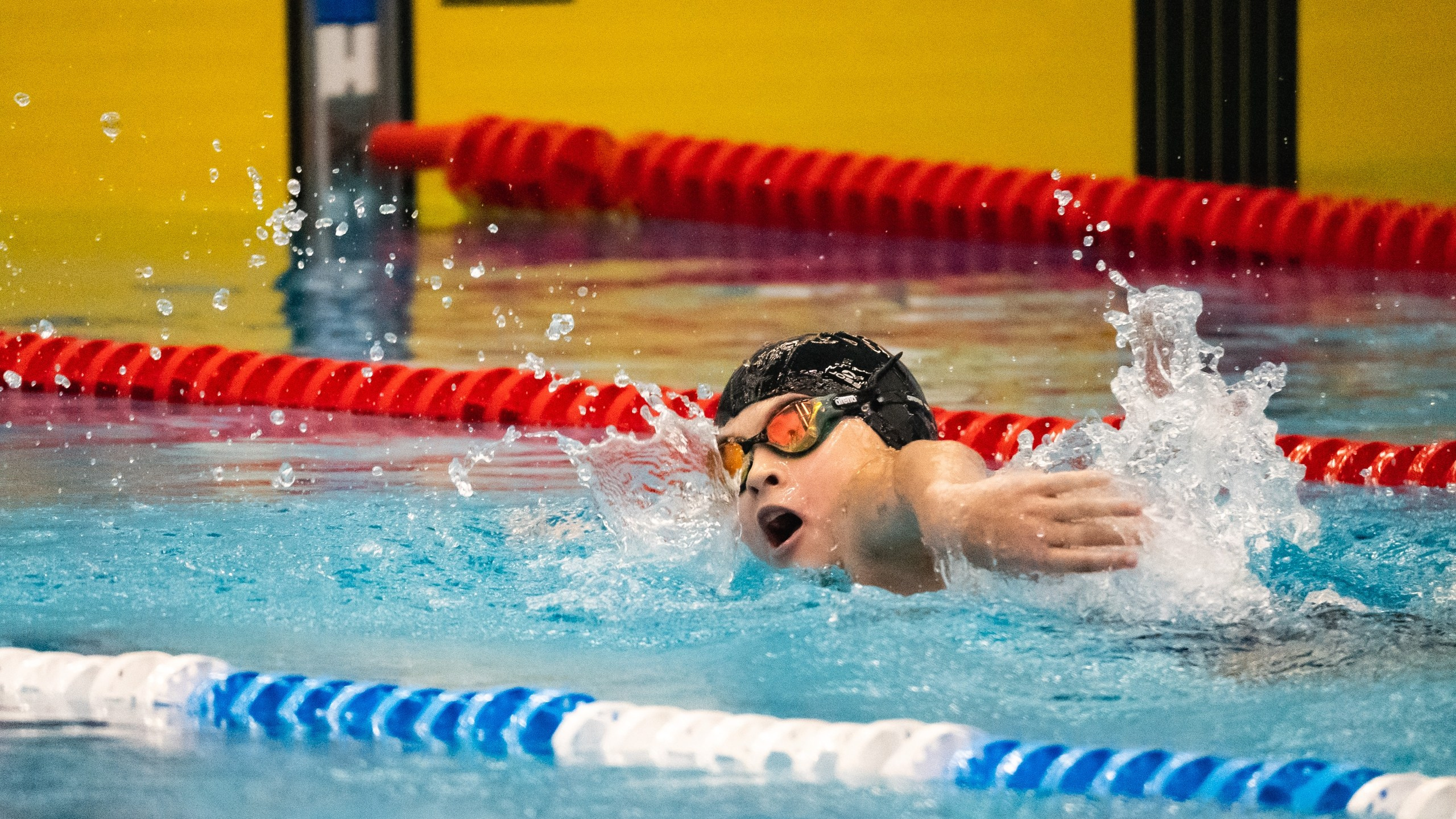 Соревнования по плаванию «Осенний спринт» 2025, МССУОР № 1. Фотограф и видеооператор Екатерина Гнатюк