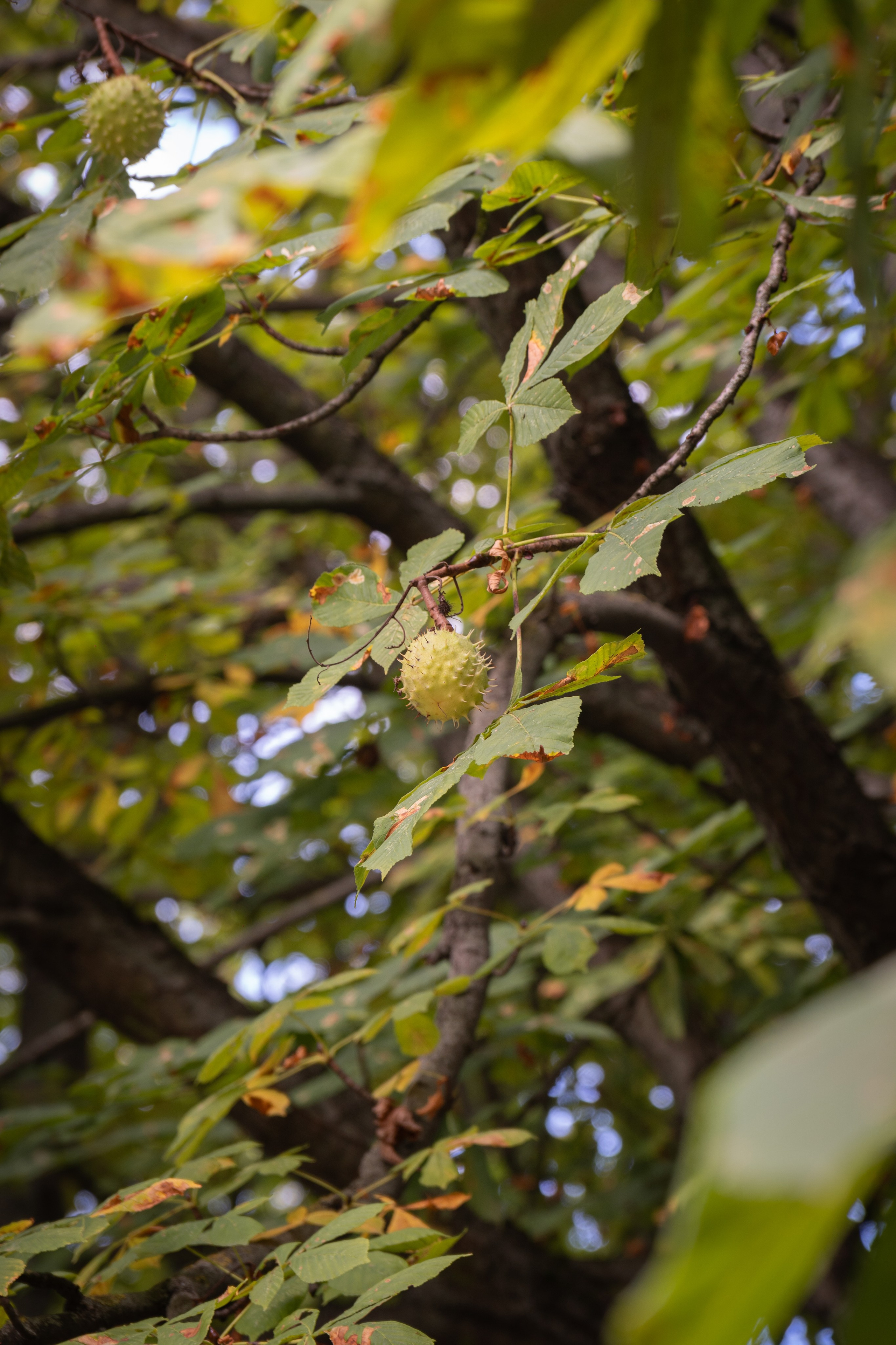 Калининградская область. Gusarov Travel Photography