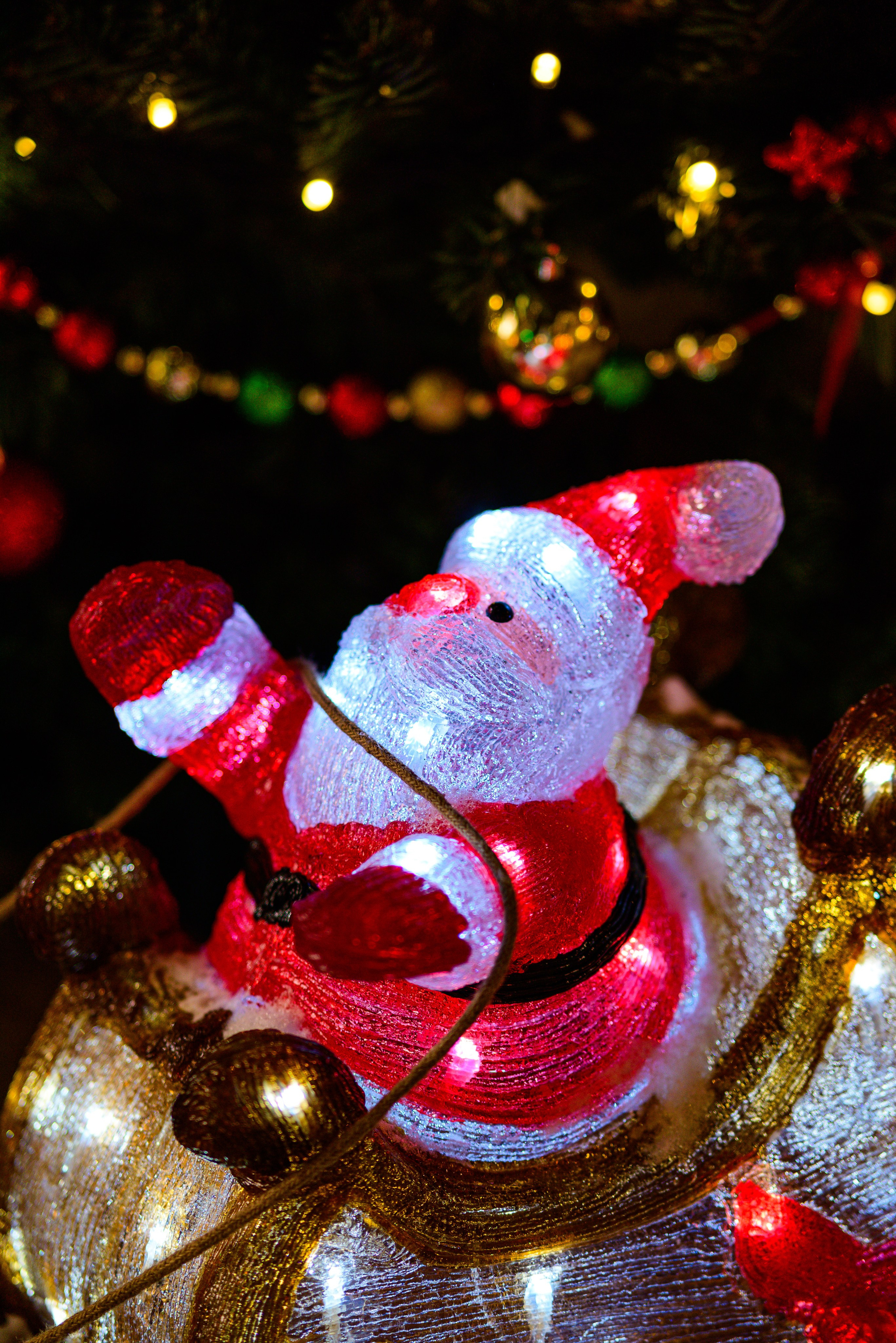 Зимняя Калининградская область. Фотосъемка и видеосъемка в Калининграде Liveemotion.pro