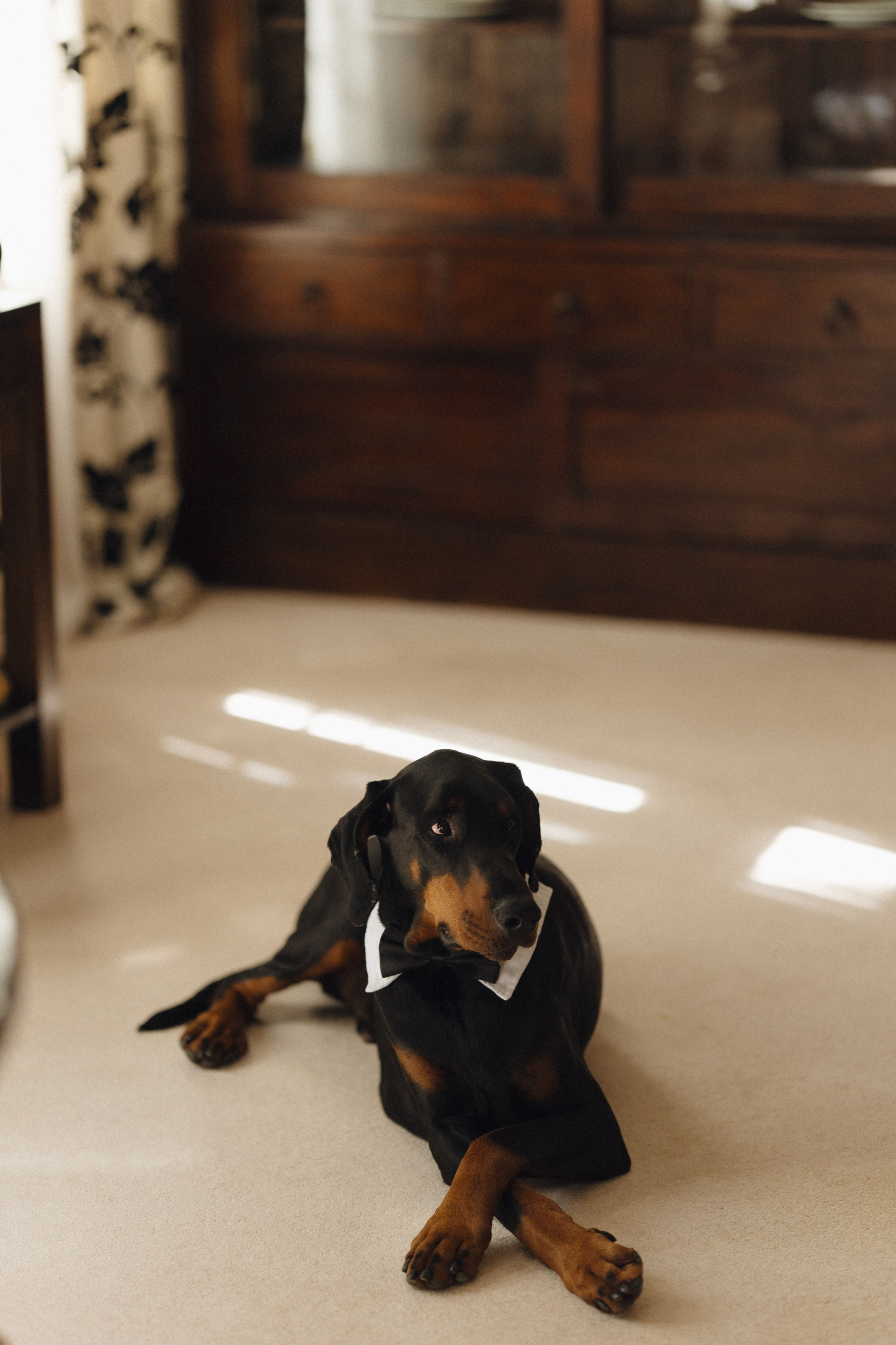 Скандинавия. Фотограф в Санкт-Петербурге Александр Дымов