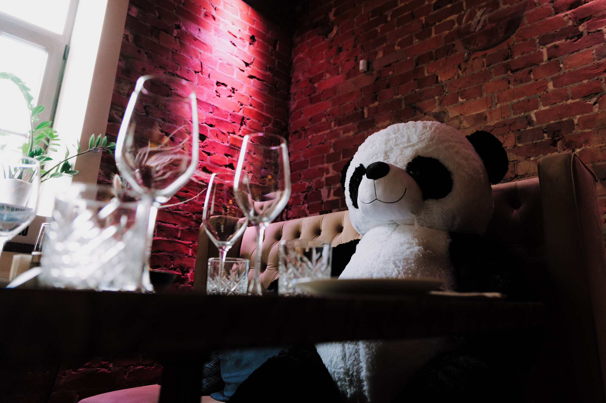 Beerlogovo birthday party 2024. Свадебный фотограф в Тамбове Валерий Тихов