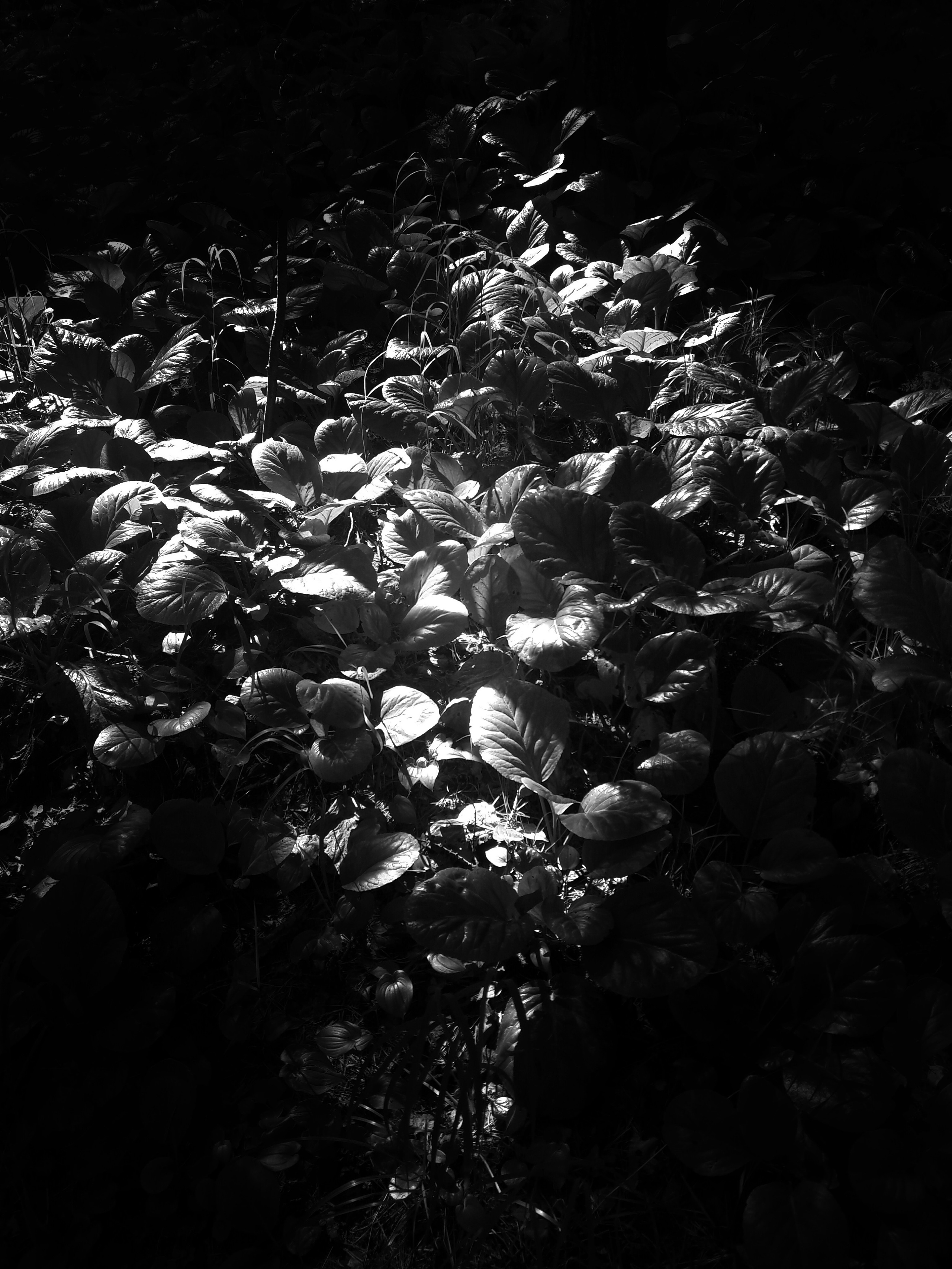 2016. Тащилин Сергей. Фотографии. Жизнь. Хобби