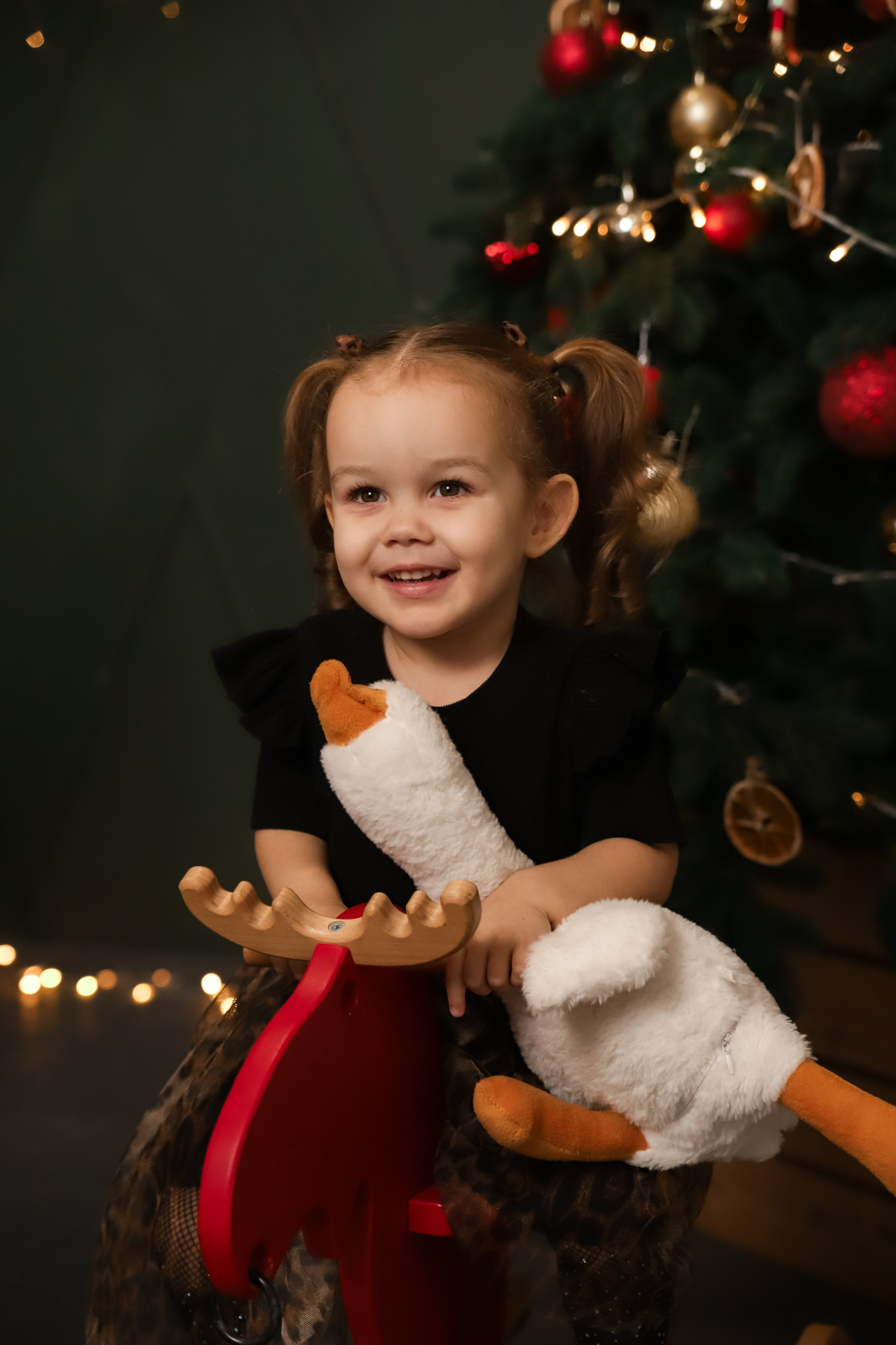 Новый Год. Фотограф Наталья Лепесей