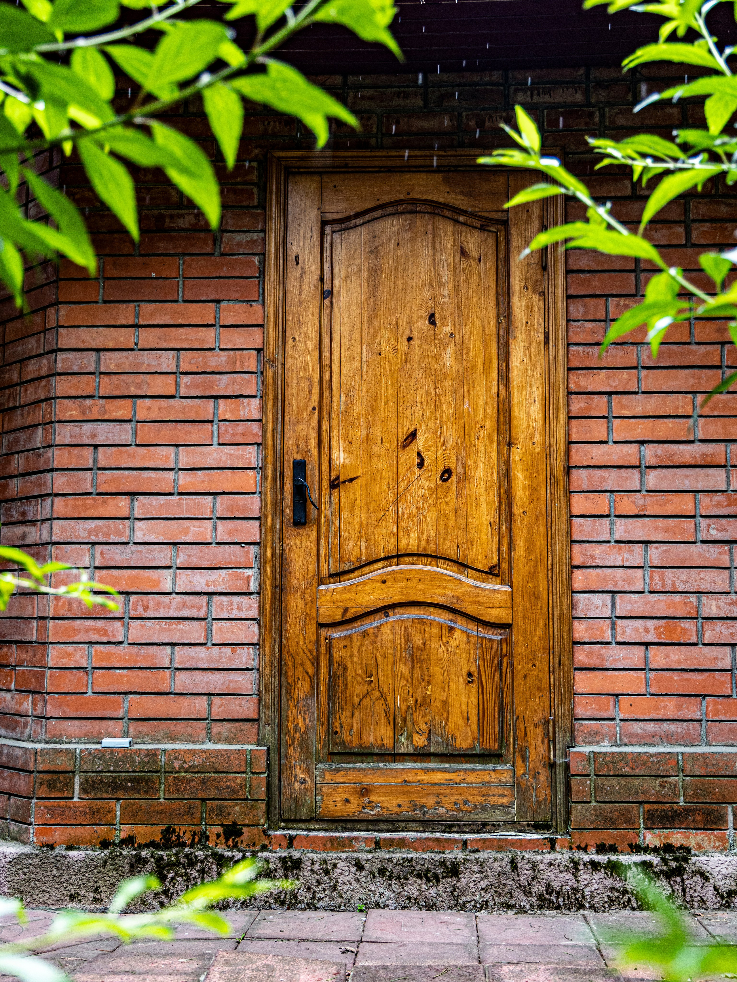 Фотограф Татьяна Марсуверских г. Жуковский, Москва и Мо. Репортажные съёмки, фотосессии. Детский, семейный фотограф. Фотограф для маркетплейсов, фотоуслуги в Жуковском Татьяна Марсуверских