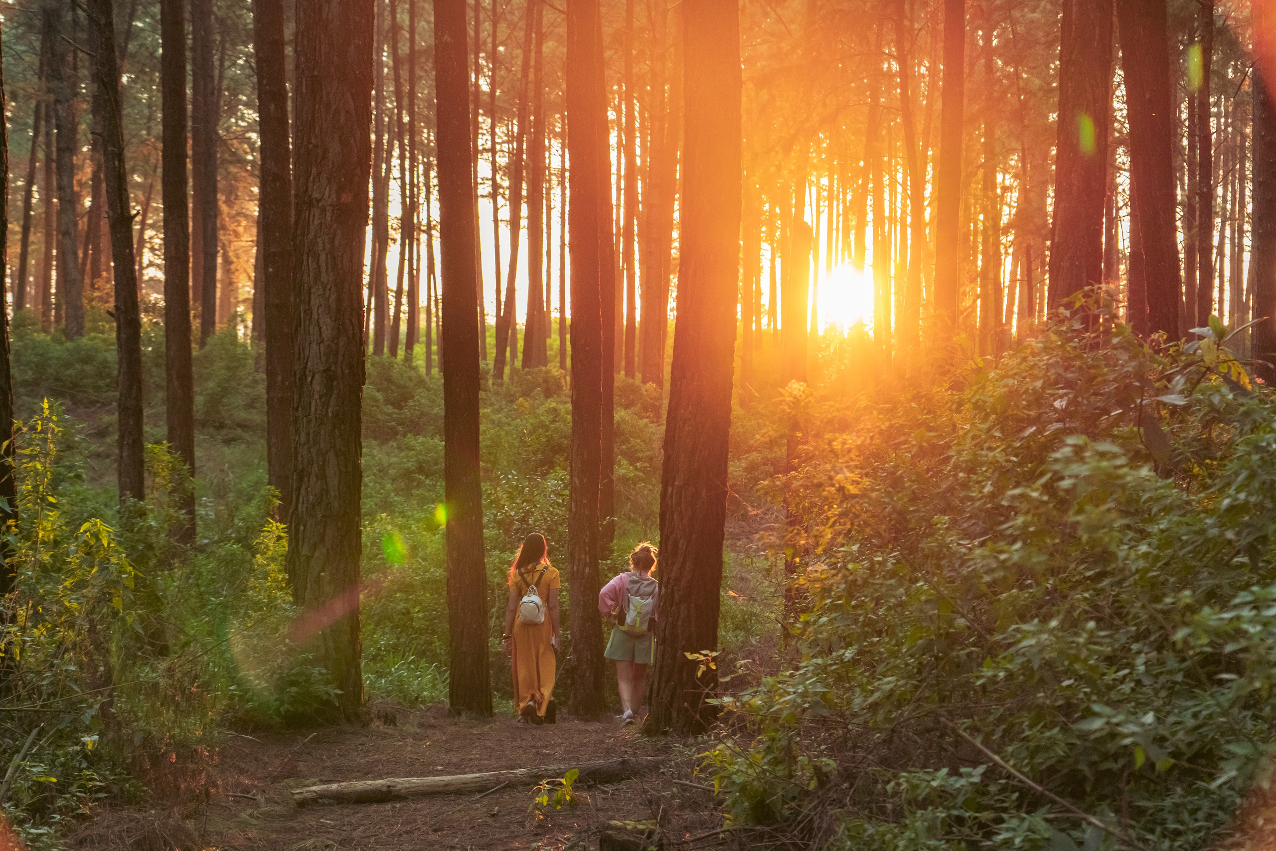 Promo content shooting for Ceylon Forward Tours