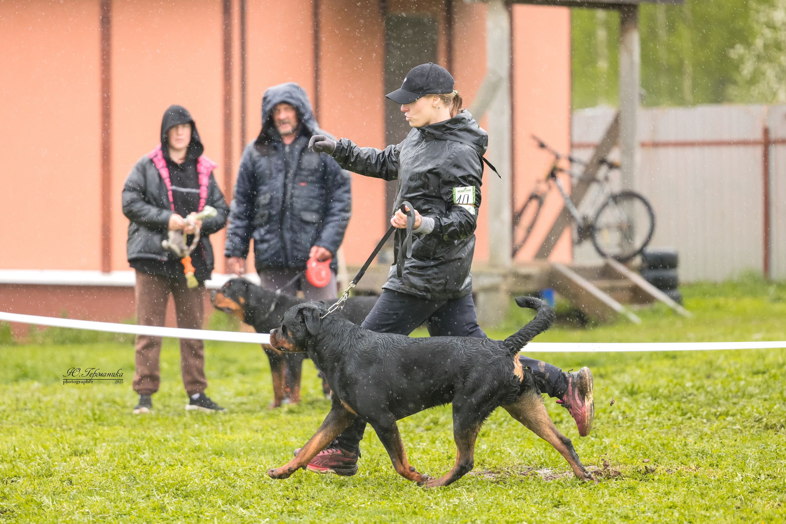 Нижний Новгород 2хмоно ротвейлеров 10-11.05.2025. Фотограф-анималист Юлия Германика