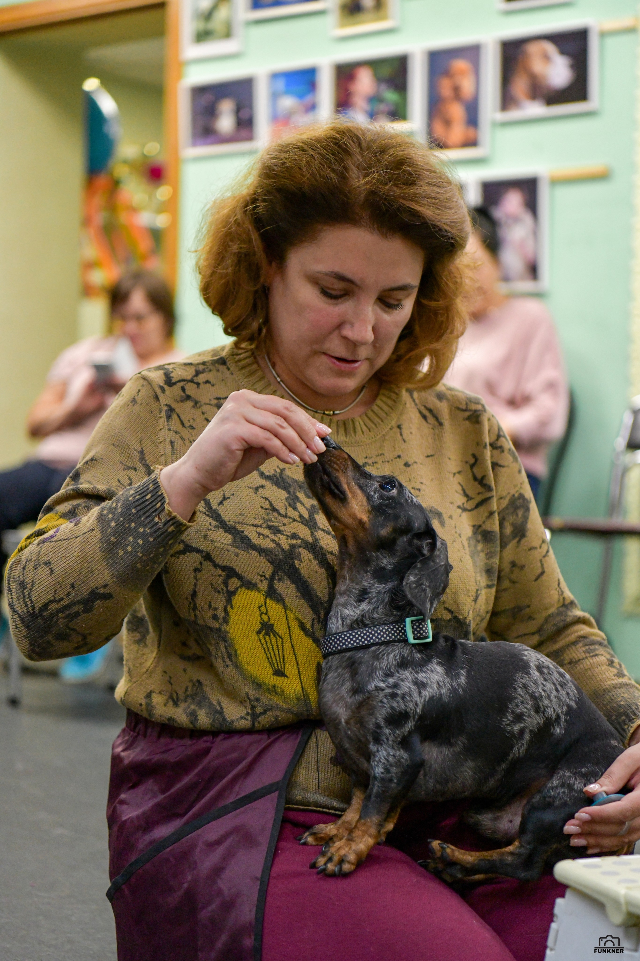 Кинологический клуб «Бодрый хвост». Свой взгляд через объектив