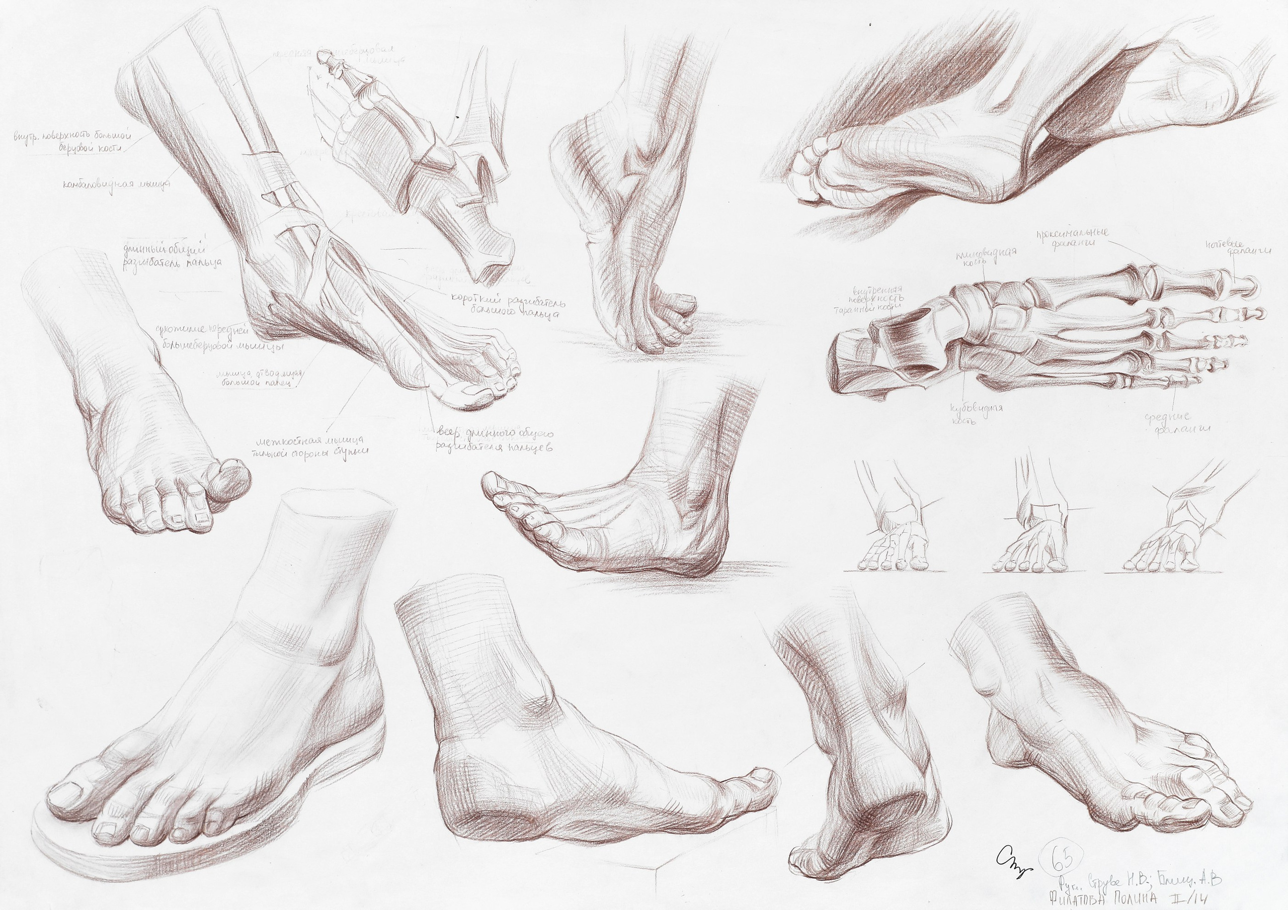 Работы студентов. Главная