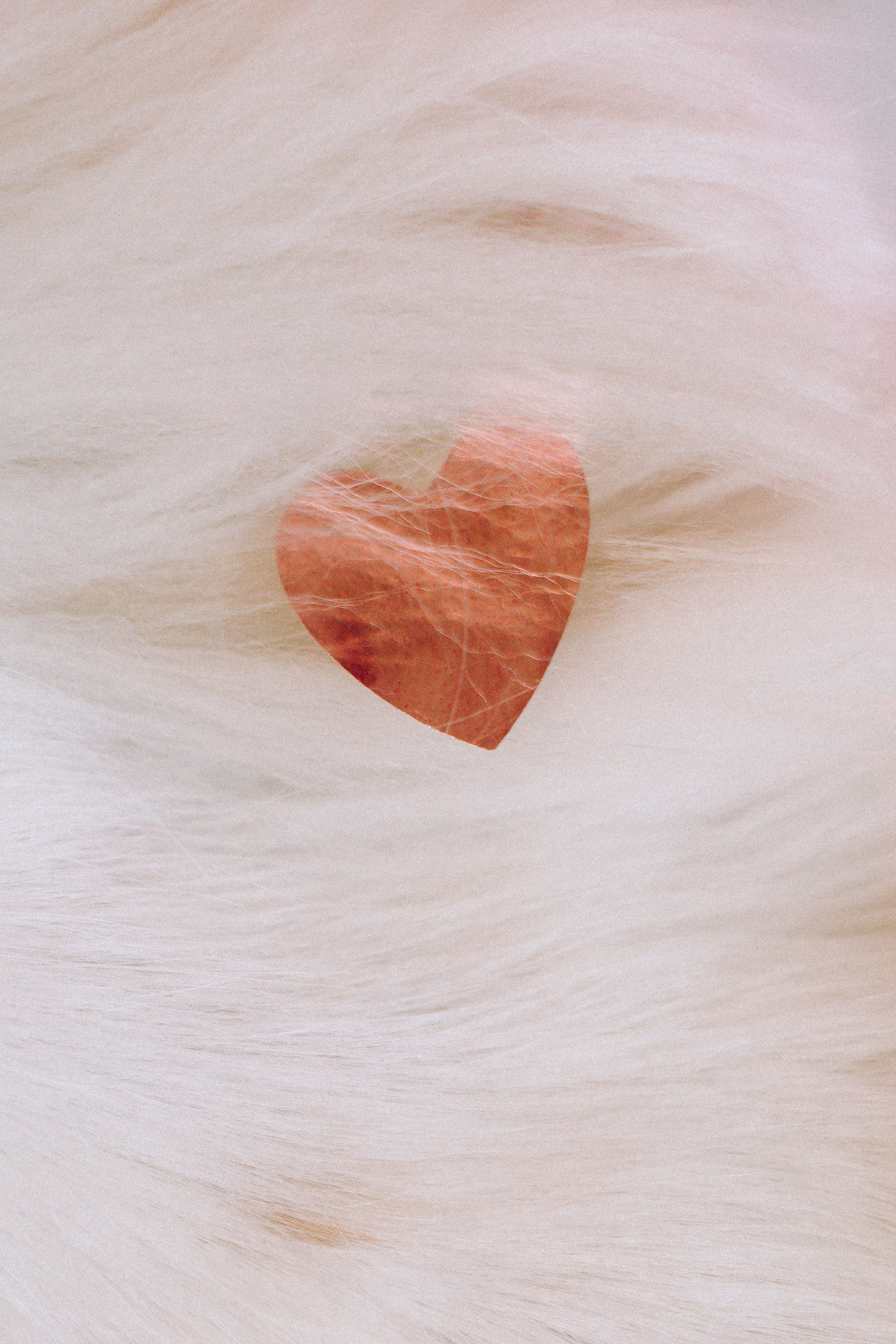 Наташа и Вики