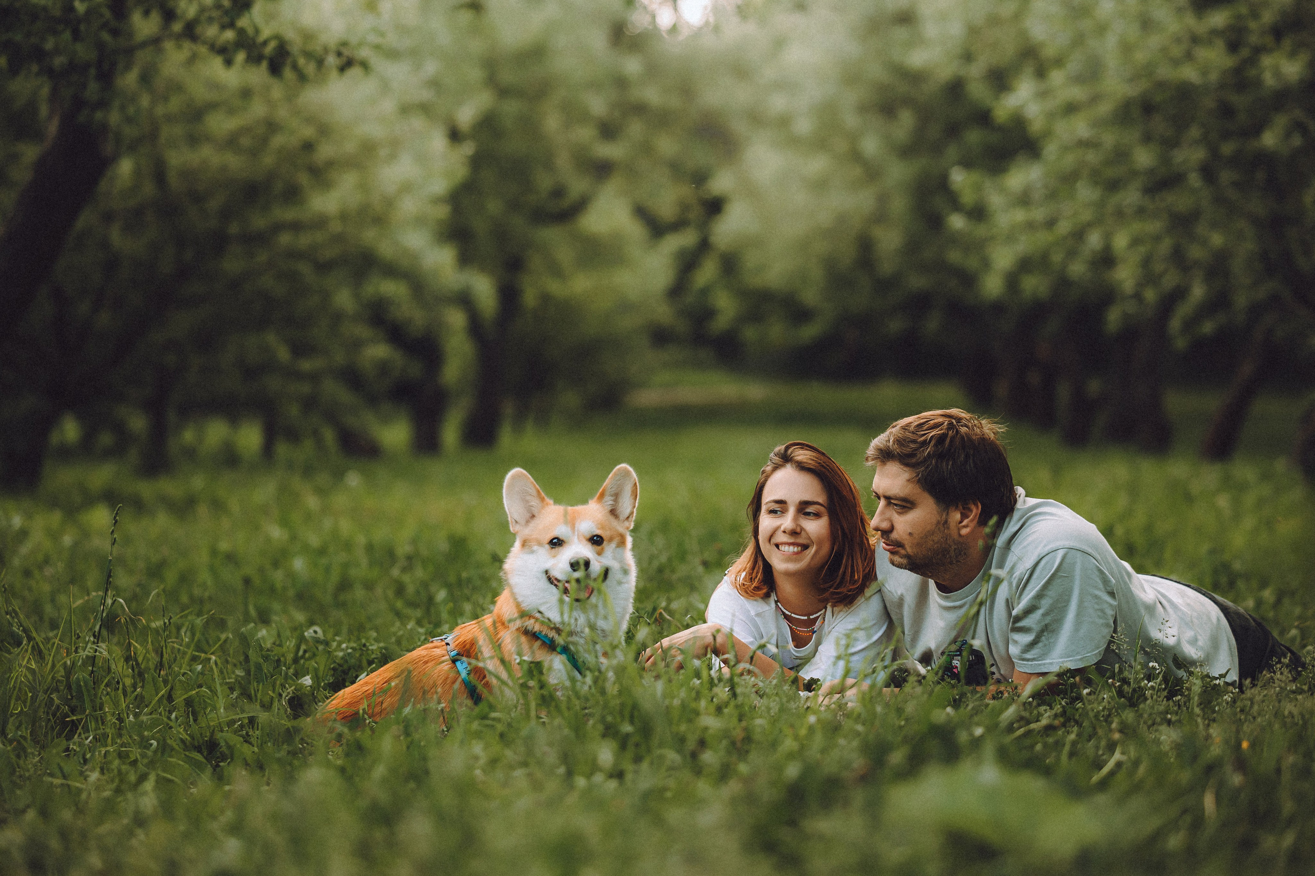 Вирджик и его семья