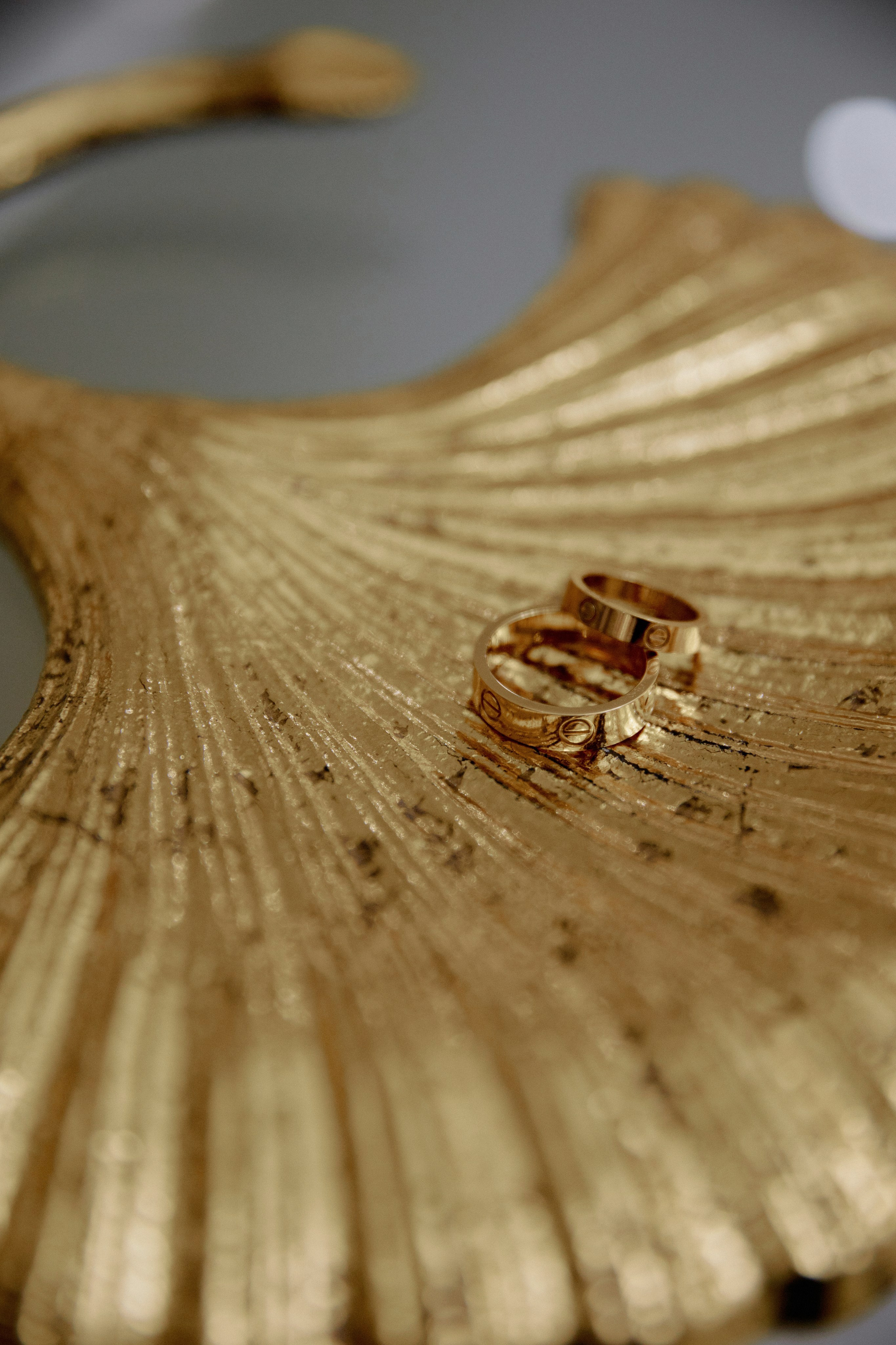 ПЕ-ПЕ-ПЕ. Фотограф Елена Краснопевцева