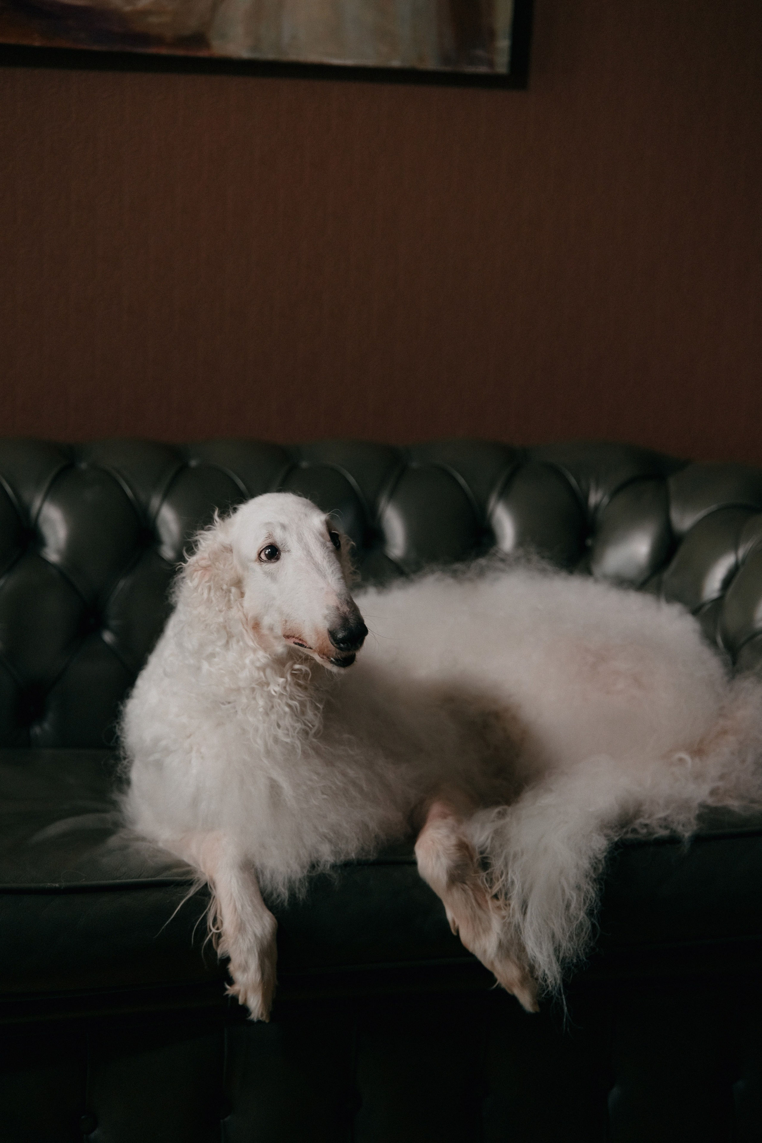 Свадебная фотосессия в дворянском стиле. Свадебный фотограф Москва