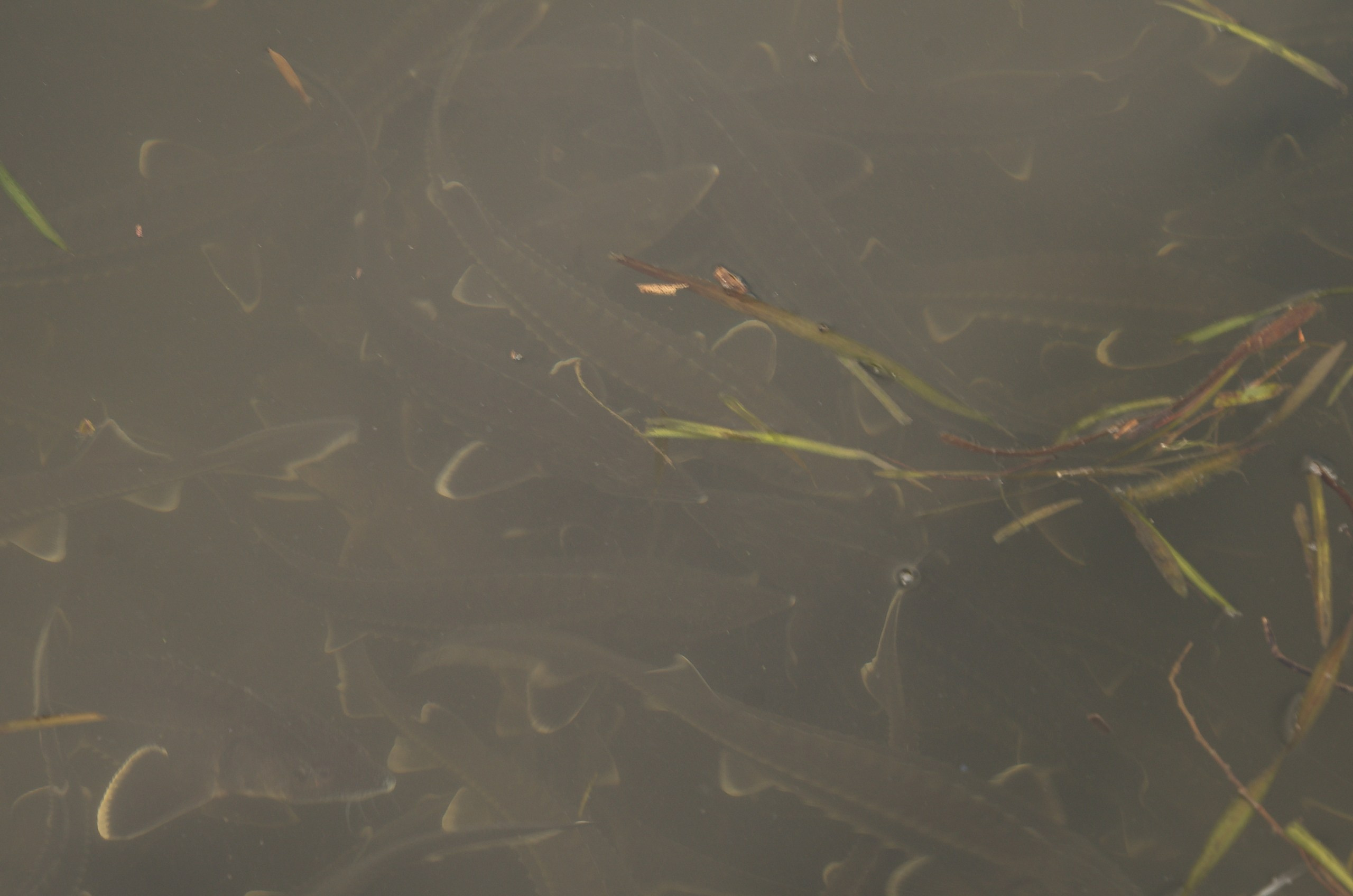 Астрахань | 17-18.10.2020. Галерея Фантим