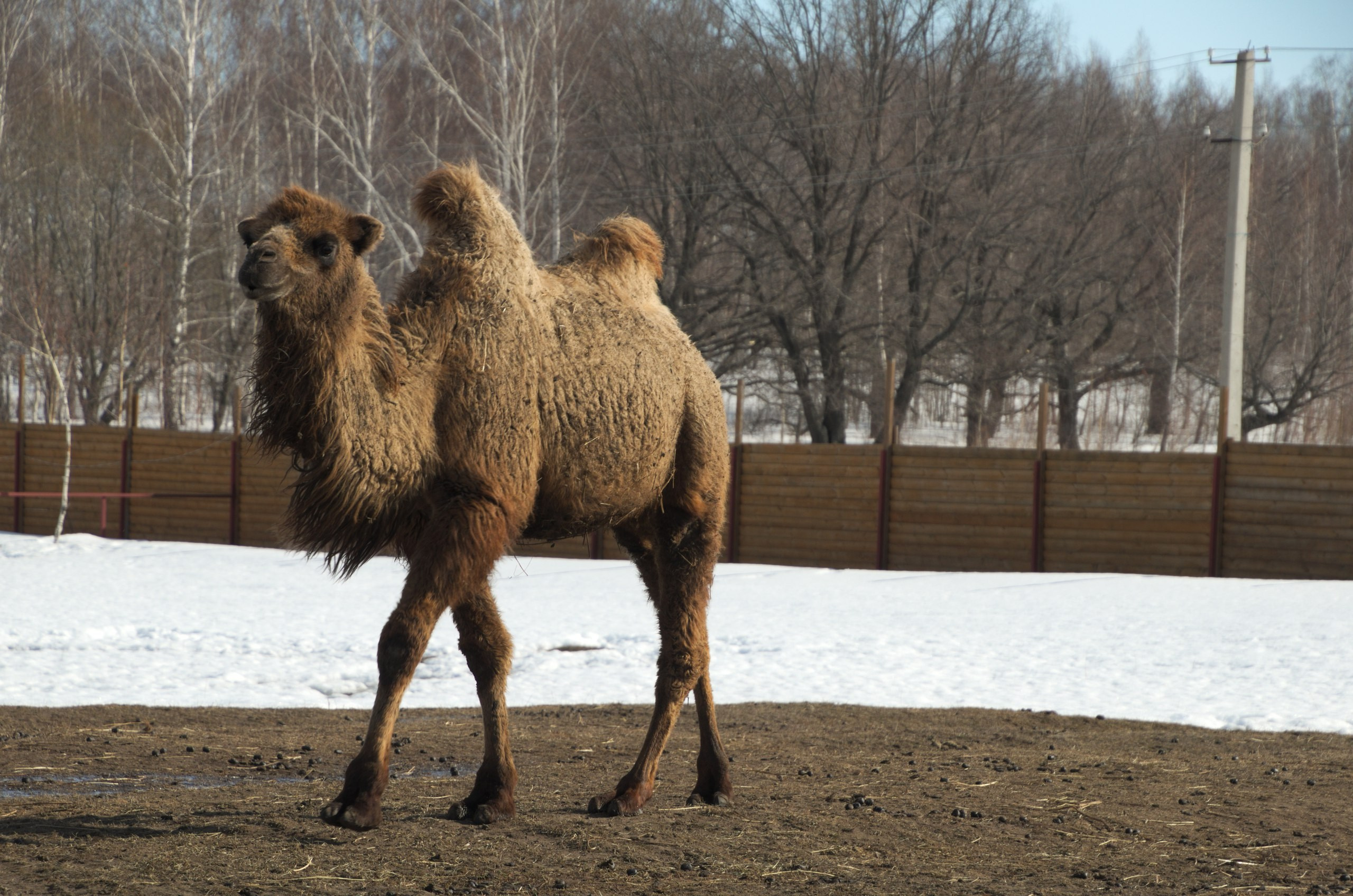 Казань | 24-26.03.2017. Галерея Фантим