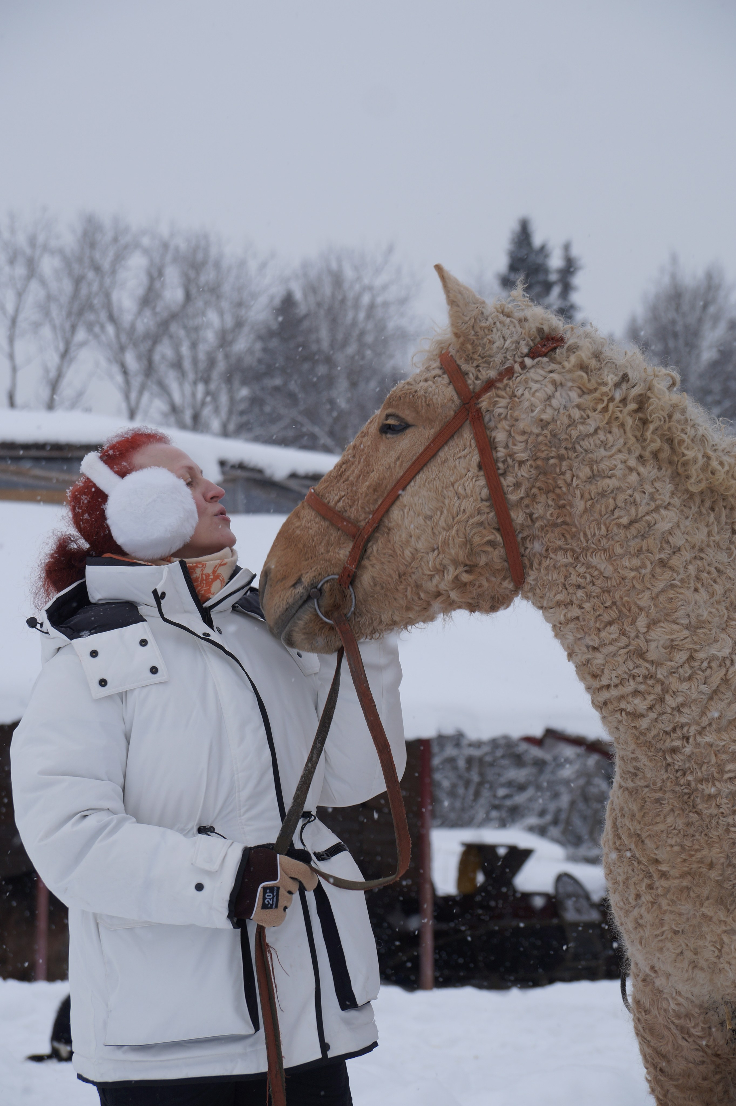 Лошадинг | 11.01.2026. Галерея Фантим