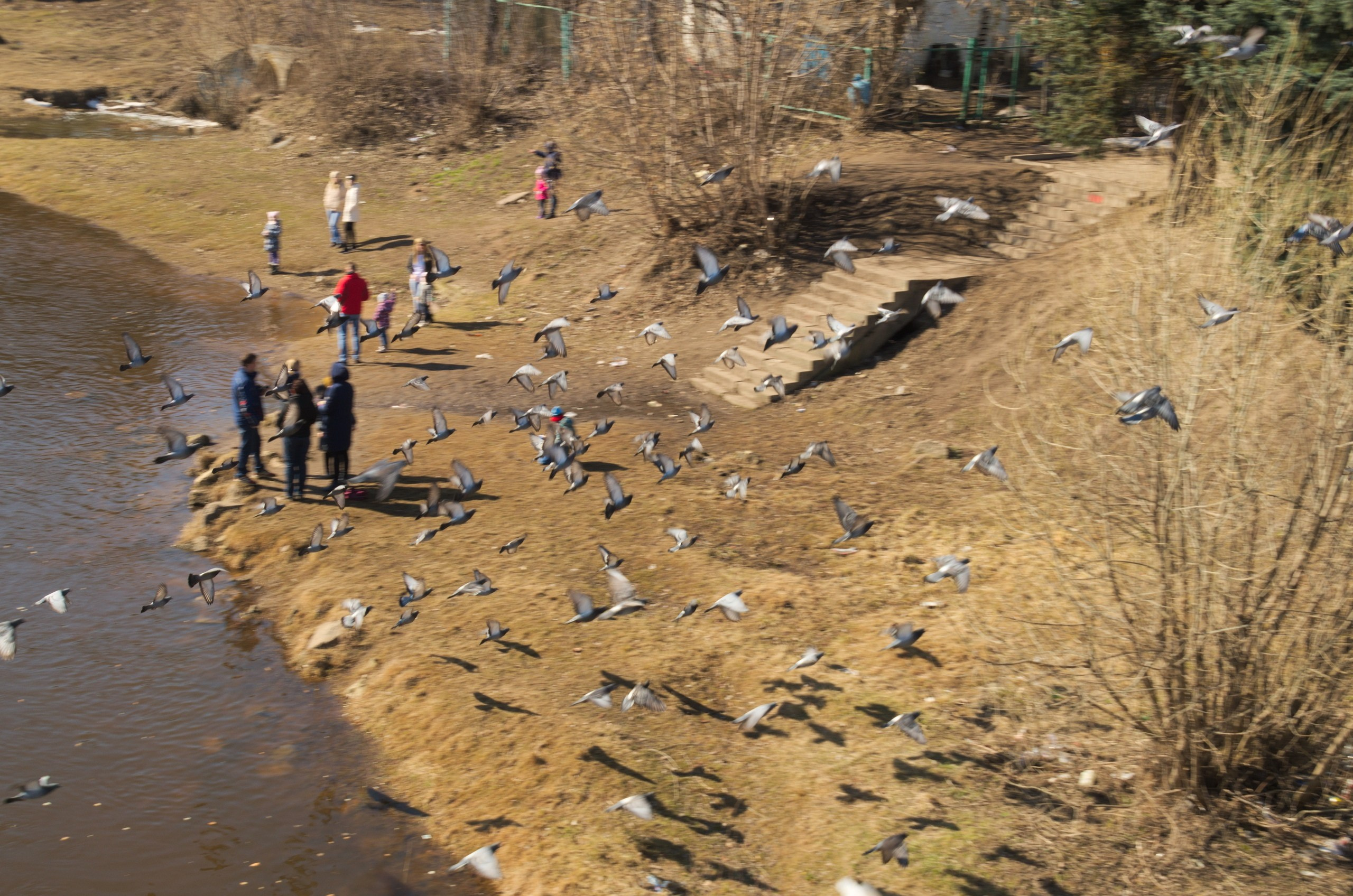 Поездка в Тверь и Торжок | 30-31.03.2019. Галерея Фантим