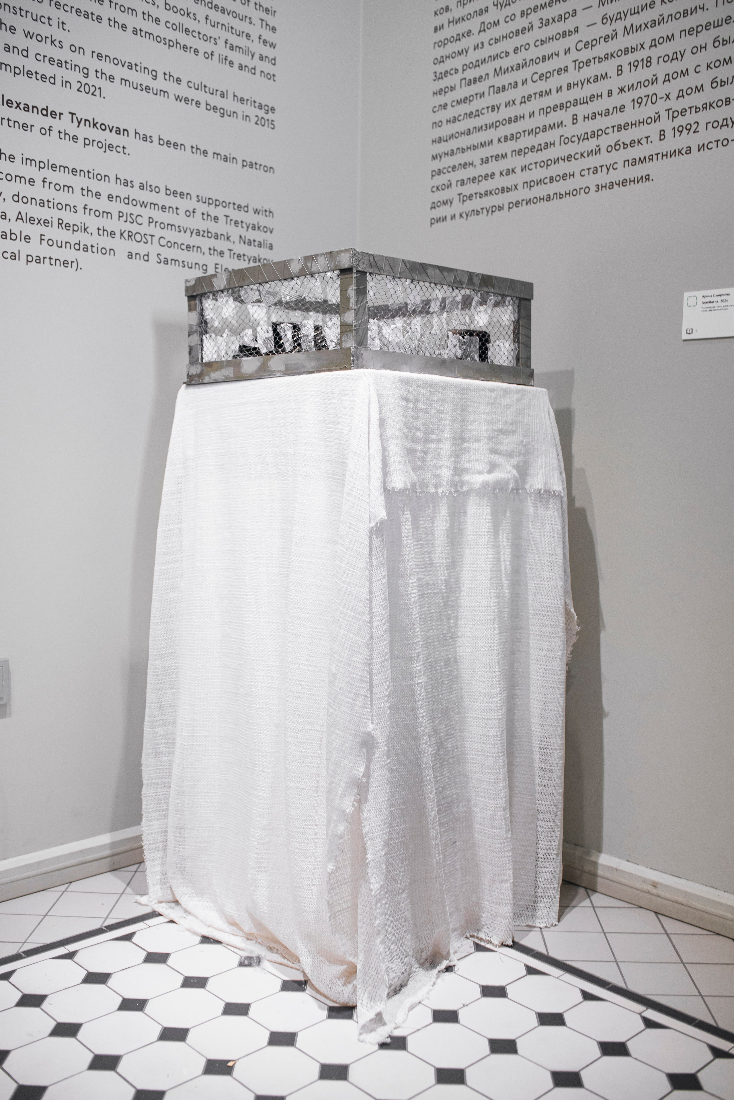 Выставка в доме Третьяковых. Фотограф в Москве Алейникова Евгения