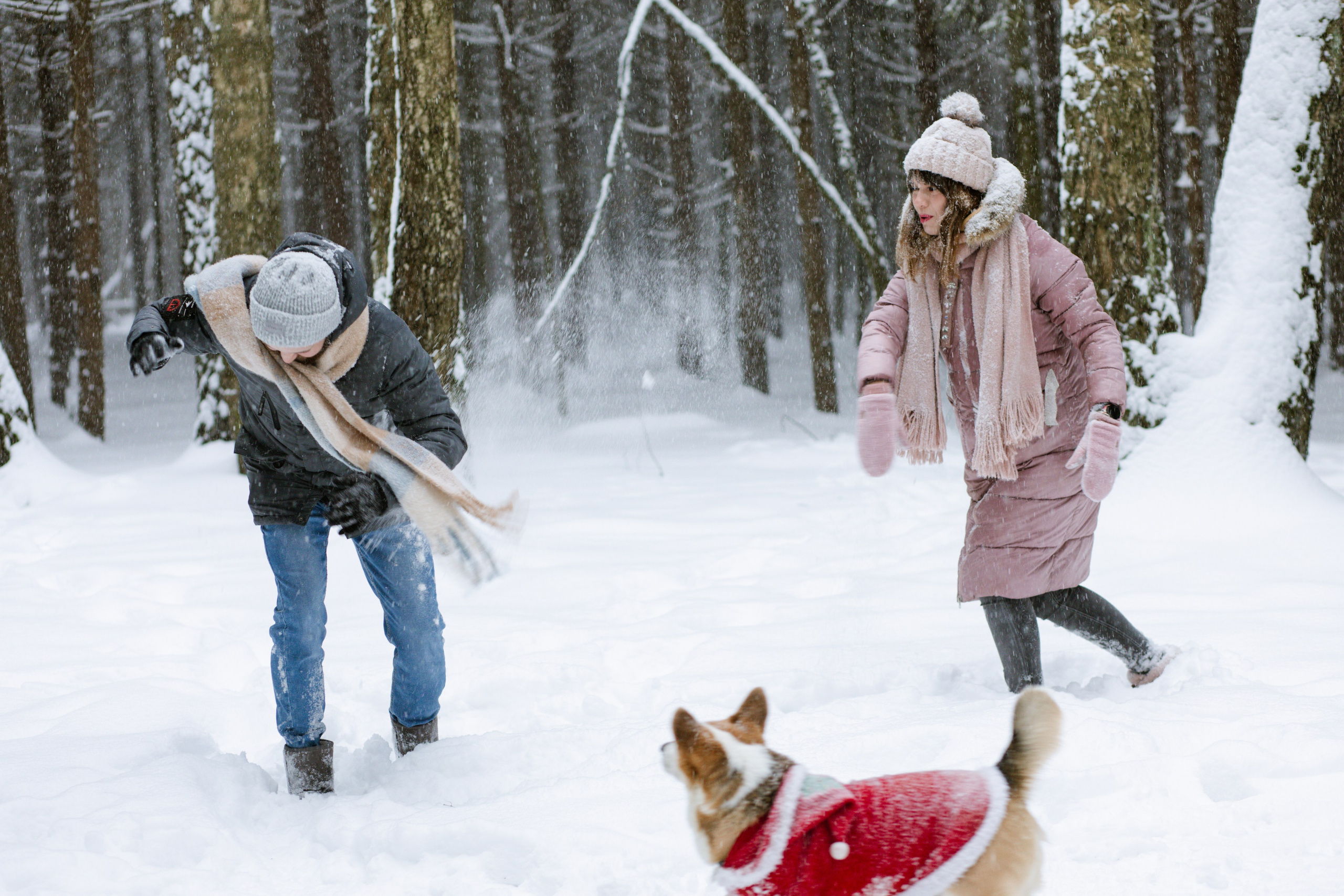 Маргарита и Александр. Фотограф Виктория Бурова