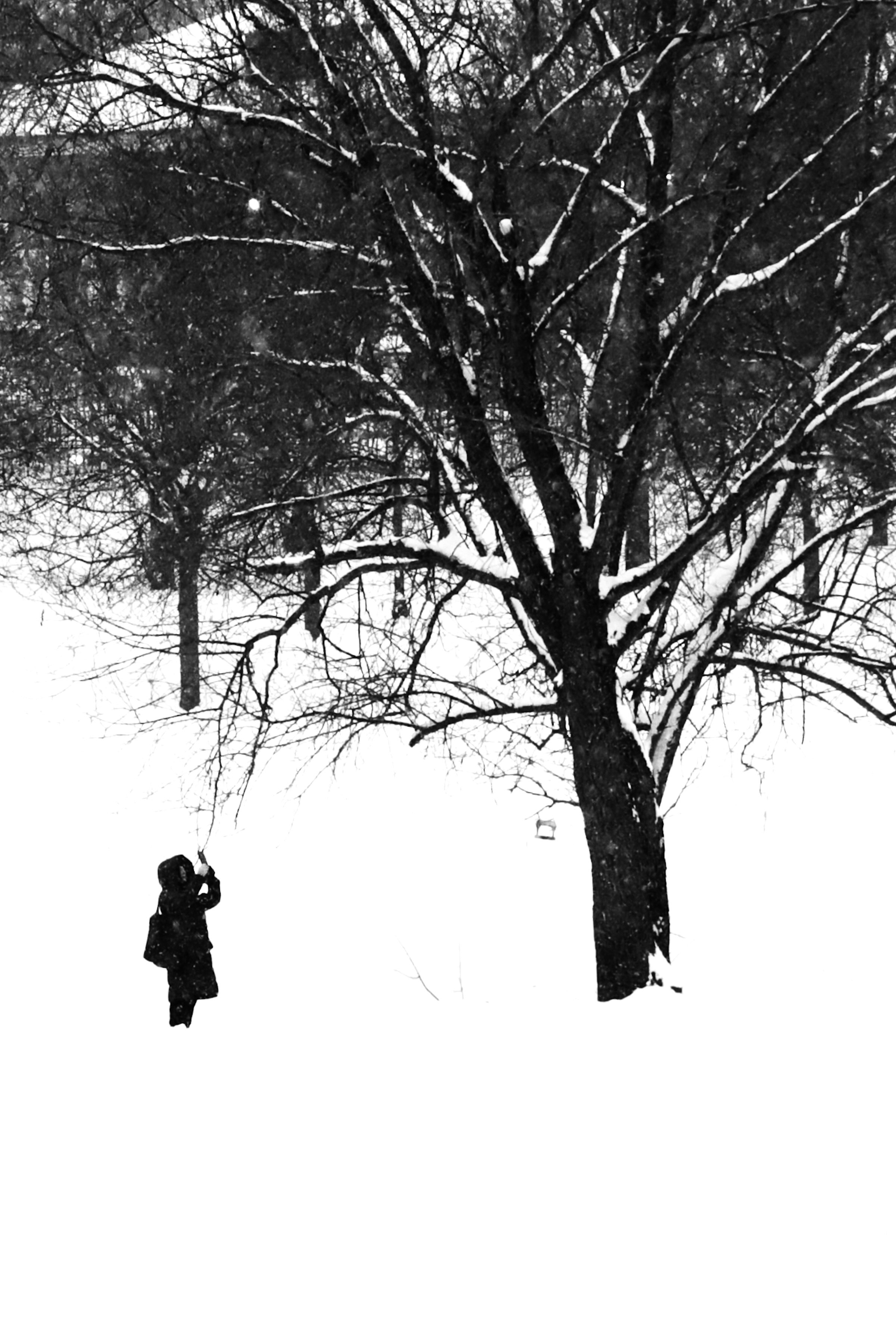 Чёрно-белая зима 25-26. Фотосессии и репортаж — Фотограф в Москве — Рина Серёгина
