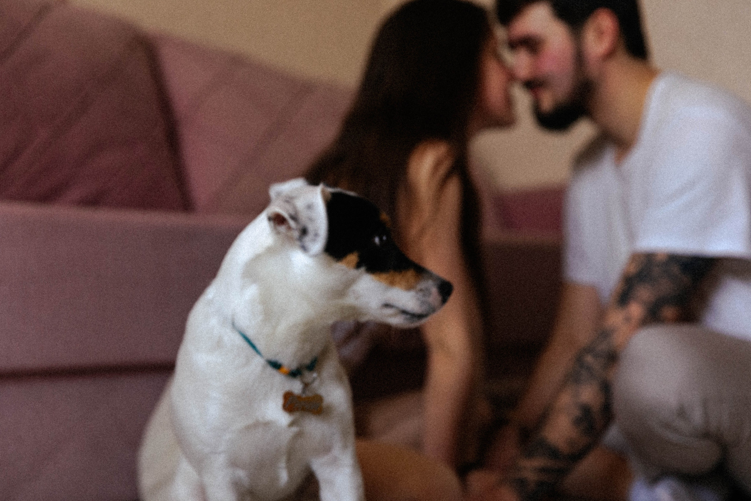 Дарья и Егор. Свадебный и семейный фотограф в Челябинске