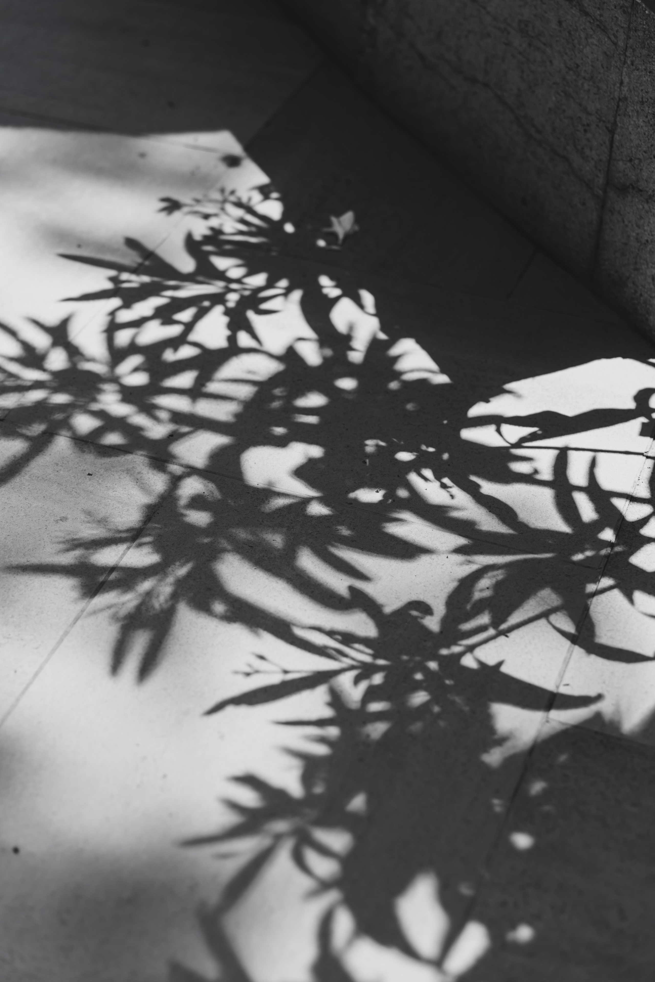 Сергей и София. Свадебный фотограф в Севастополе и Крыму| Tanya Sher