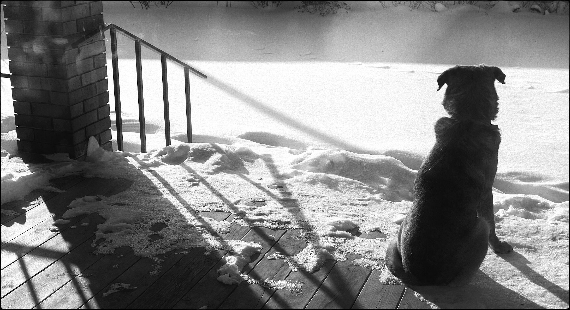 Ветра и дожди. Artkapella|Олег Кузнецов