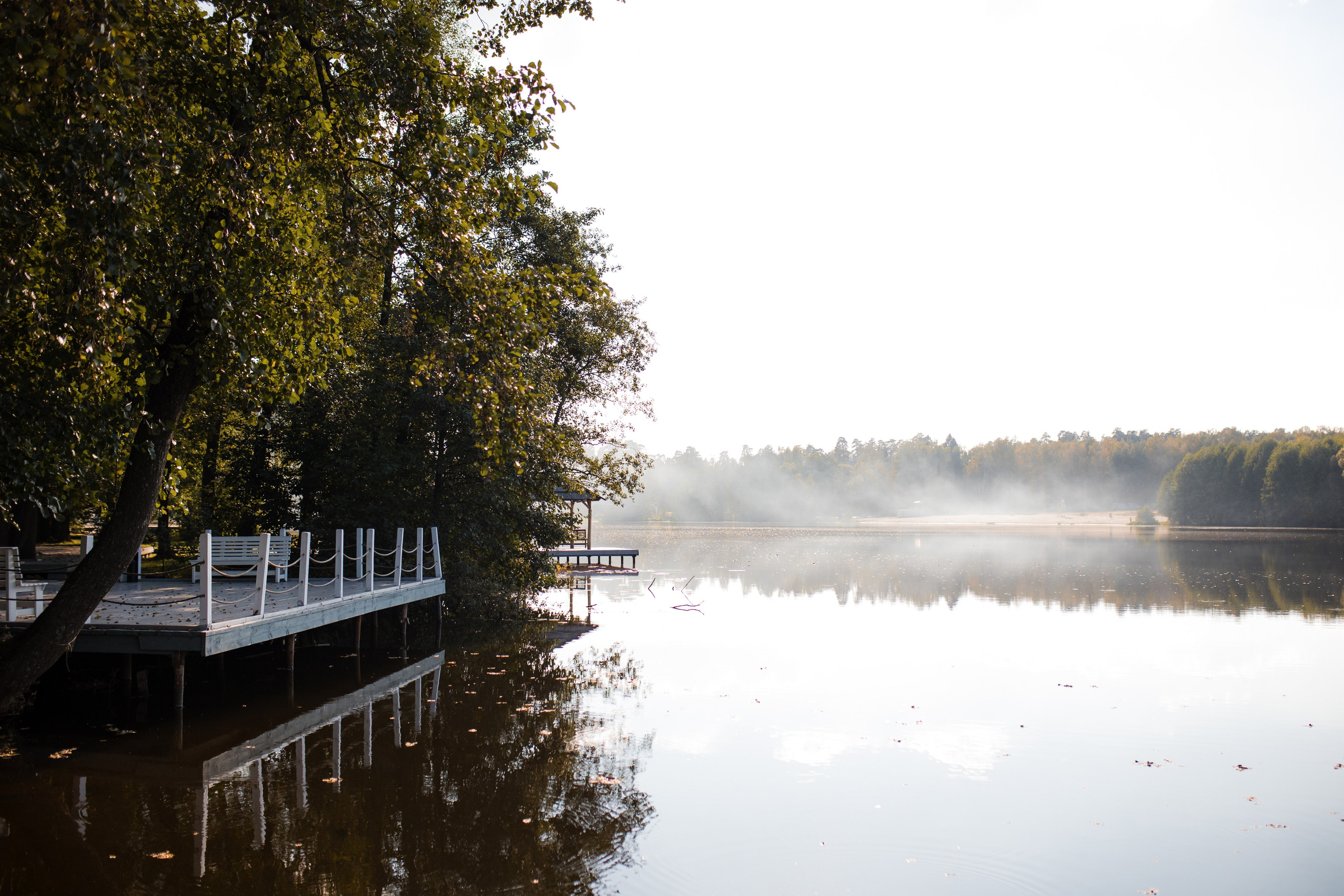 September do you remember. Фотограф в Москве Вероника Иньякова
