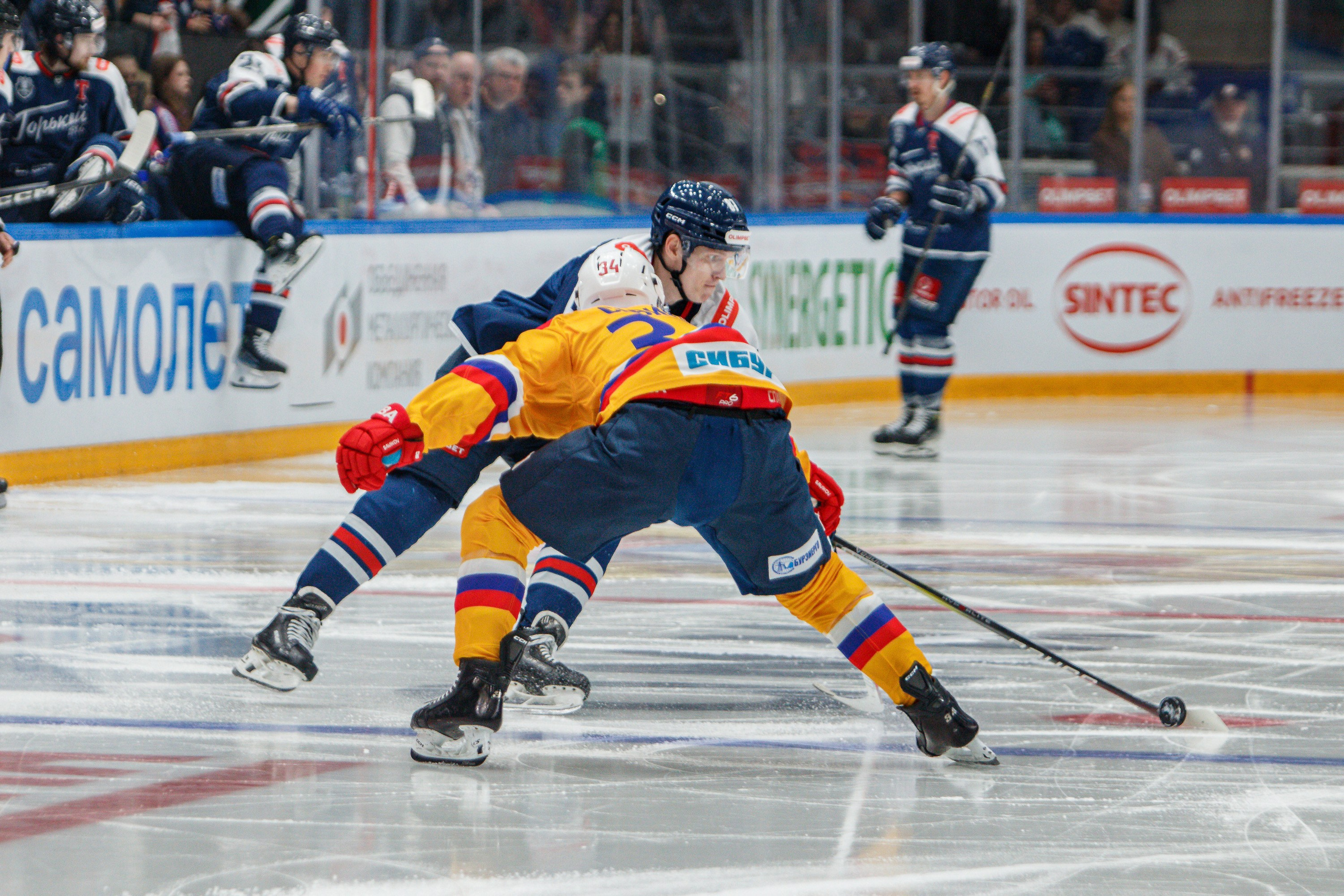 Торпедо-Горький — Химик. Спортивный фотограф в Смоленске — Екатерина Степенок