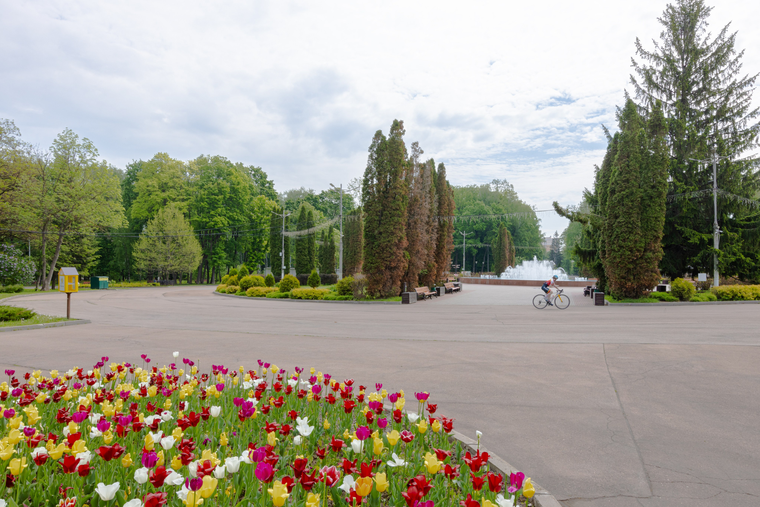 Парк им. П. П. Белоусова г. Тула 2024 г. Фотограф в Туле Крупский АнДРей. Фотостудия «КАДР71» в Туле