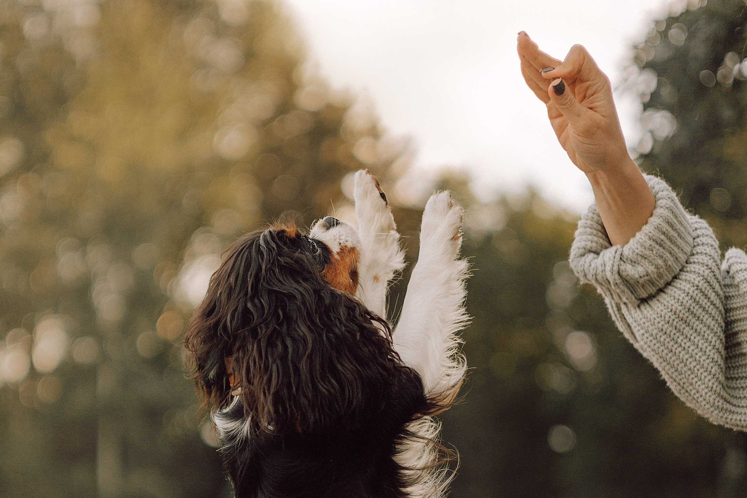 Один день из жизни Стеши и её родных. Фотограф — анималист •love-story•|Санкт-Петербург