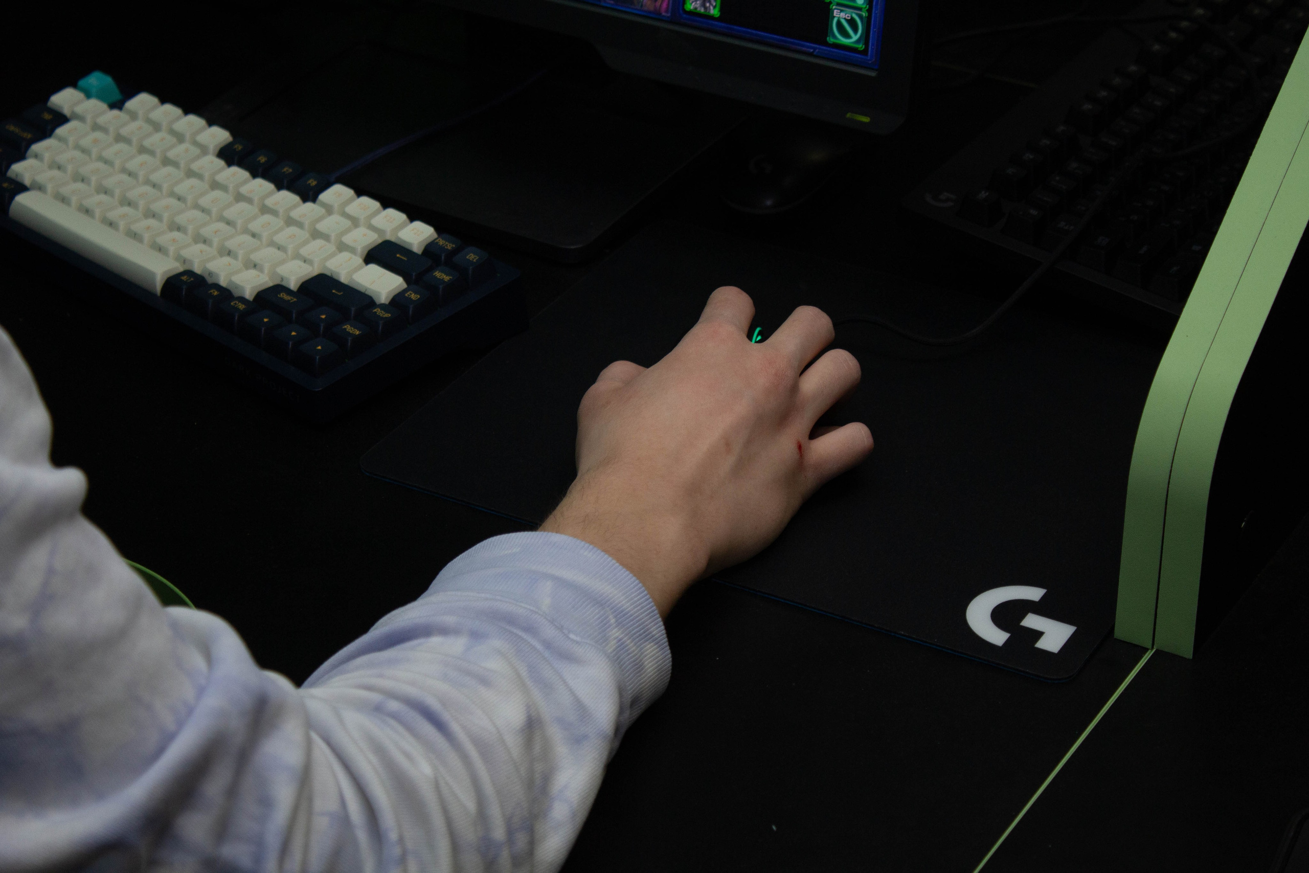 Polycup. Карпогоры, Санкт-Петербург