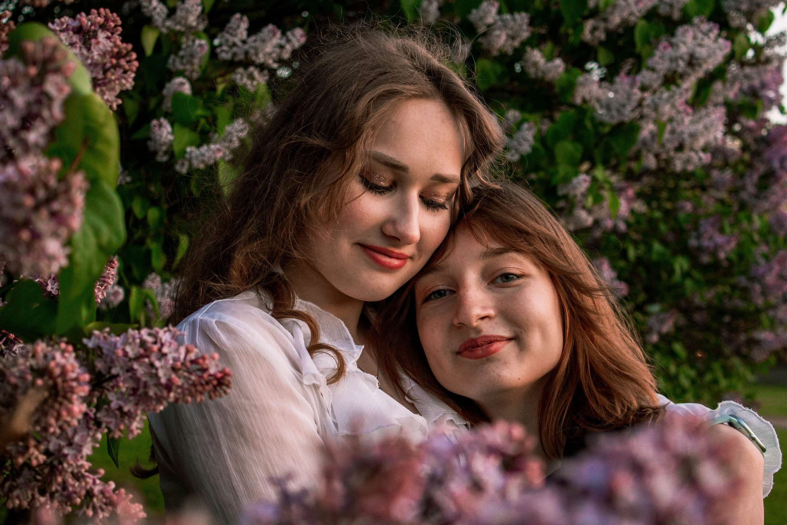 Сирень. Карпогоры, Санкт-Петербург