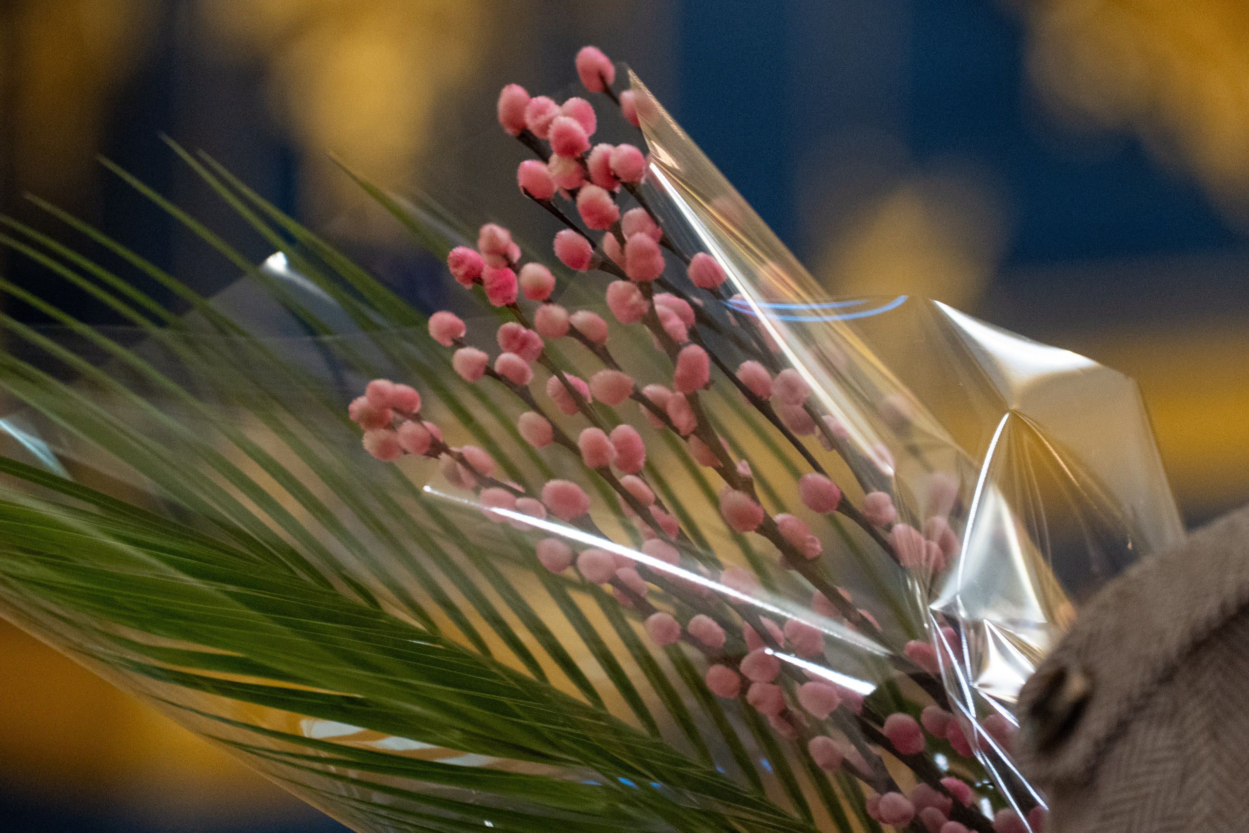 Суббота 6-й седмицы, ваий. Лазарева суббота. Воскрешение прав. Лазаря. НИКОЛО-БОГОЯВЛЕНСКИЙ МОРСКОЙ СОБОР