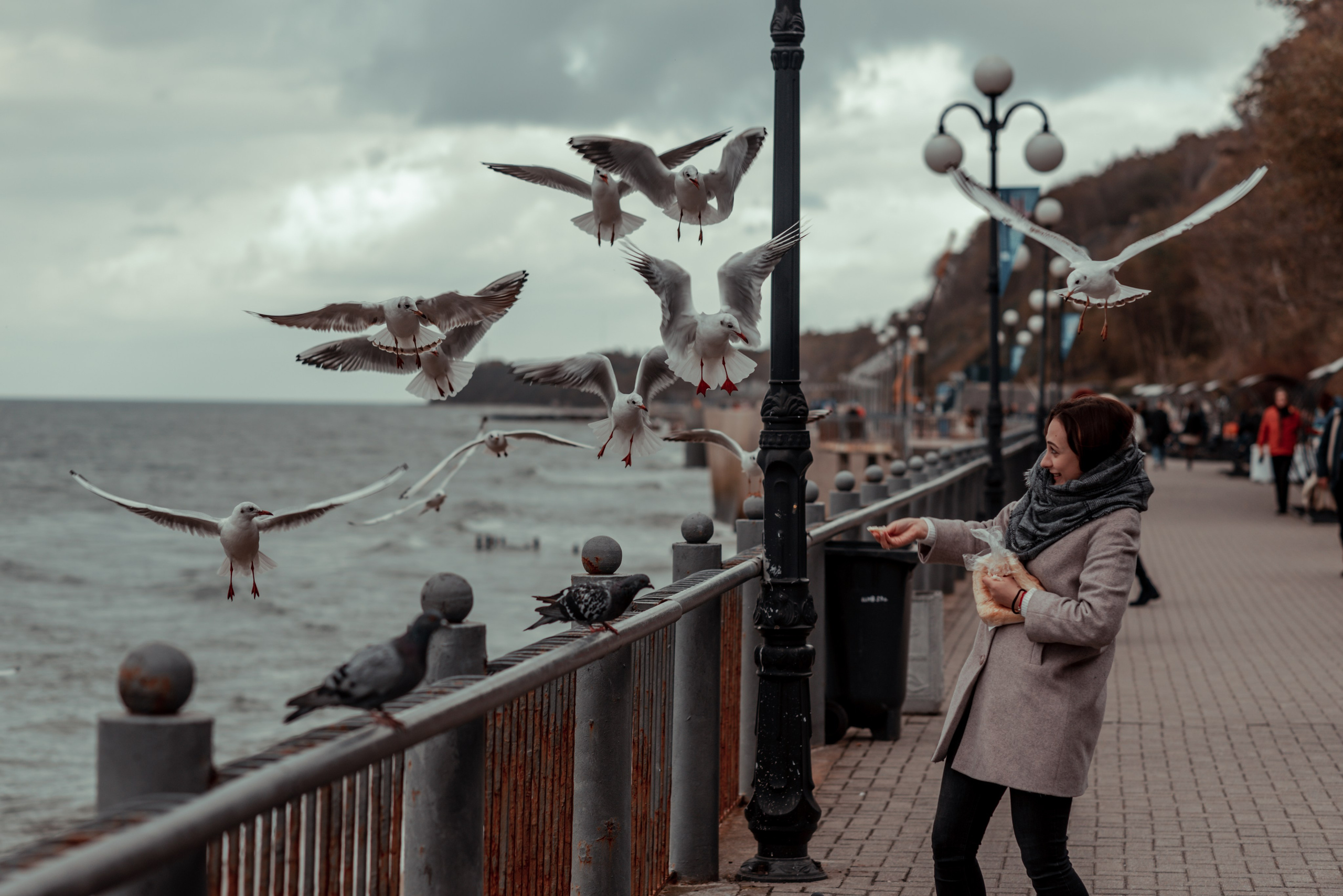 Калининград и его область: через объектив рекламного фотографа из Гуанчжо. Коммерческий и предметный фотограф в Гуанчжоу Коваленко Александр