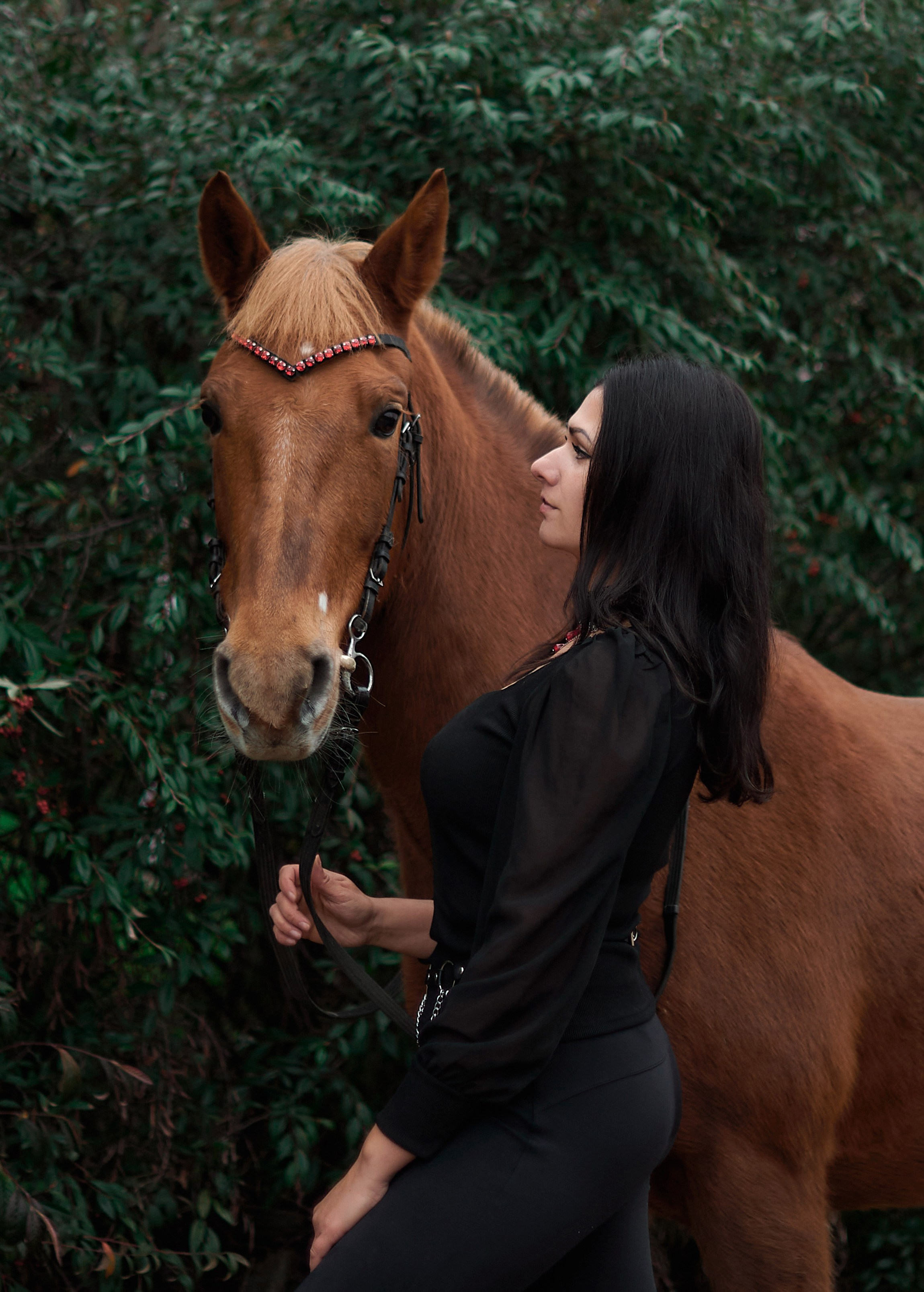 Диана, Гром и Мандаринка. Фотограф в Севастополе
