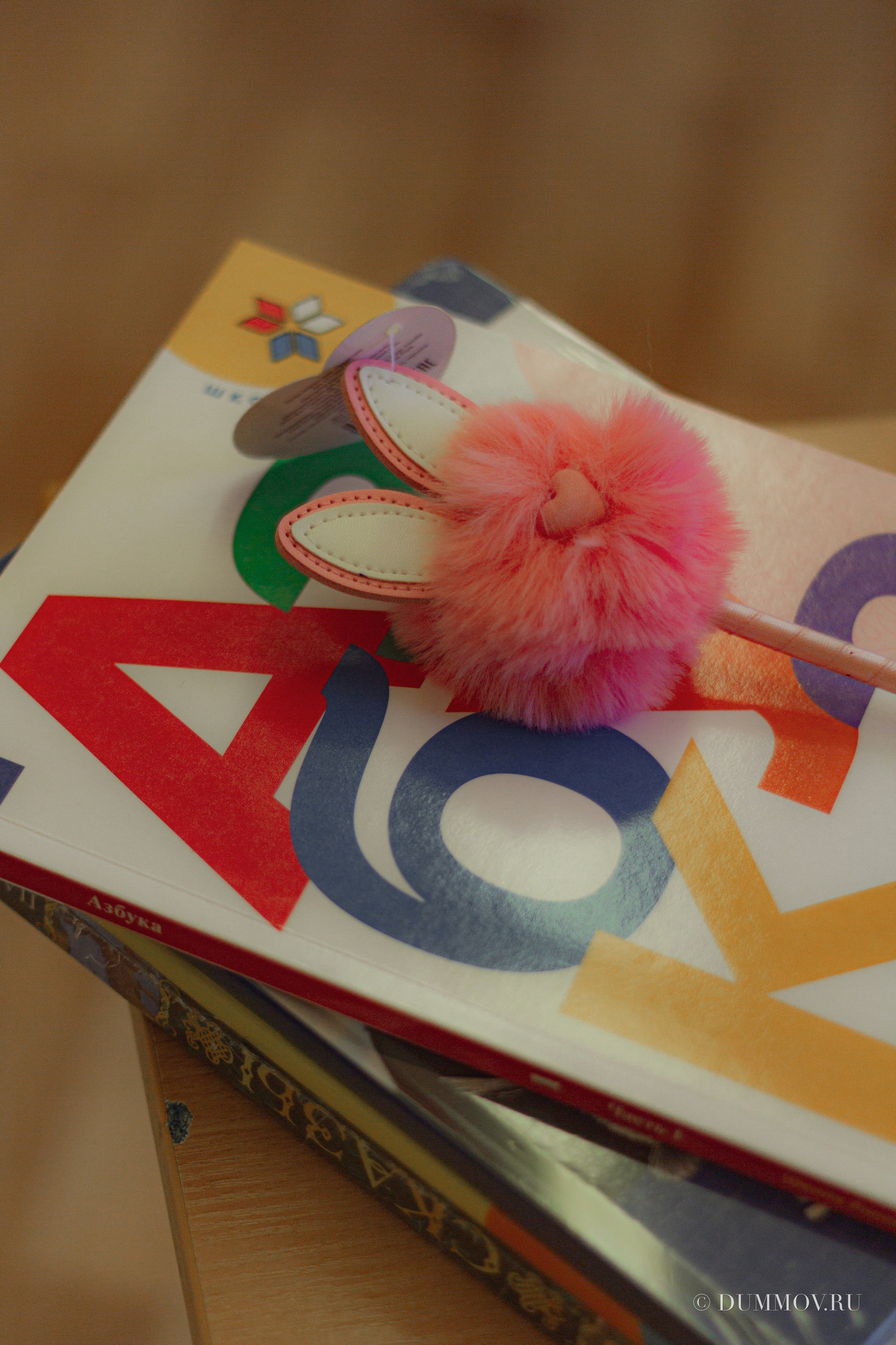 День знаний (Школа 604 Славянка). Фотограф в Санкт-Петербурге