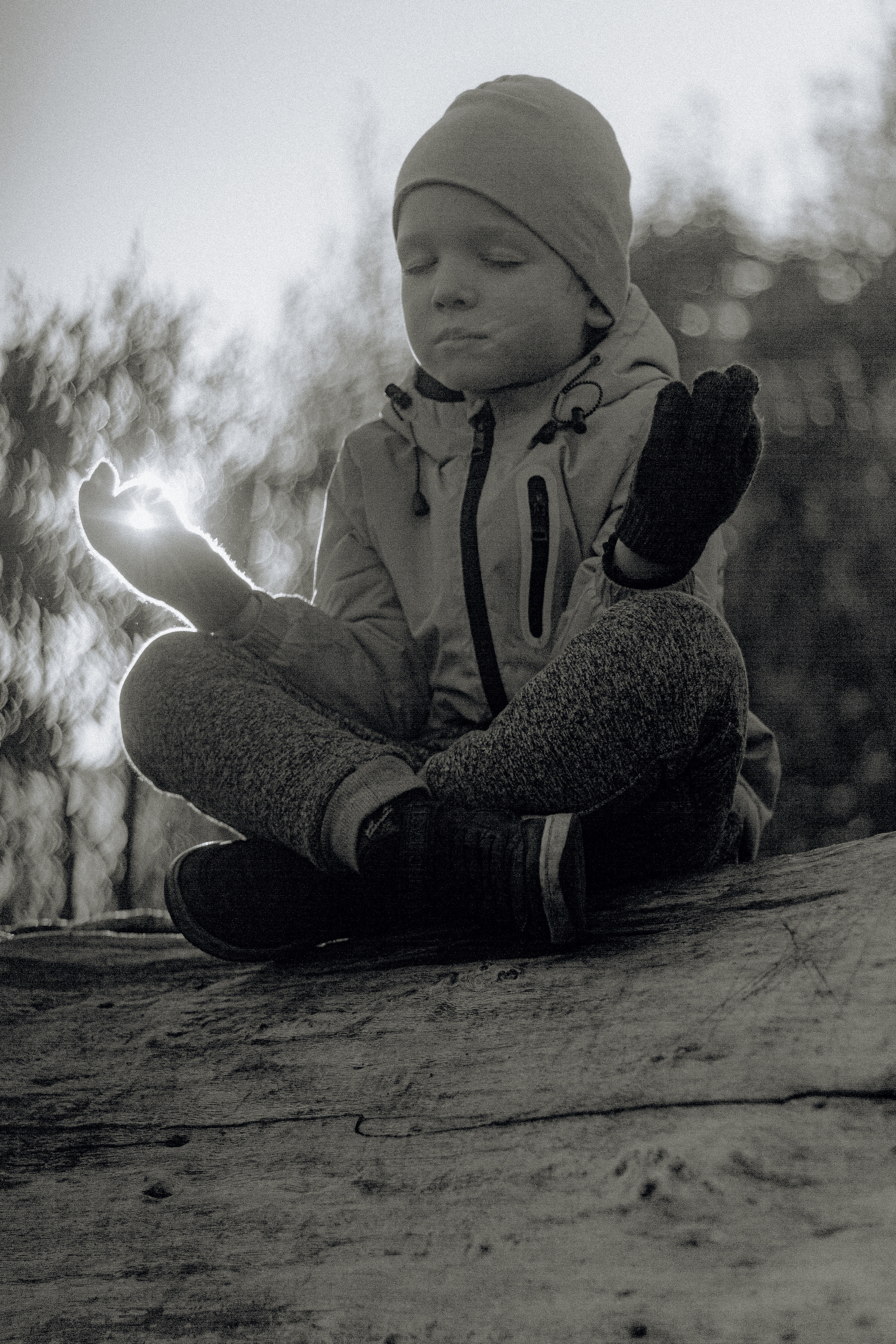 Прогулка по эко-тропе Лисий нос. Фотограф в Санкт-Петербурге