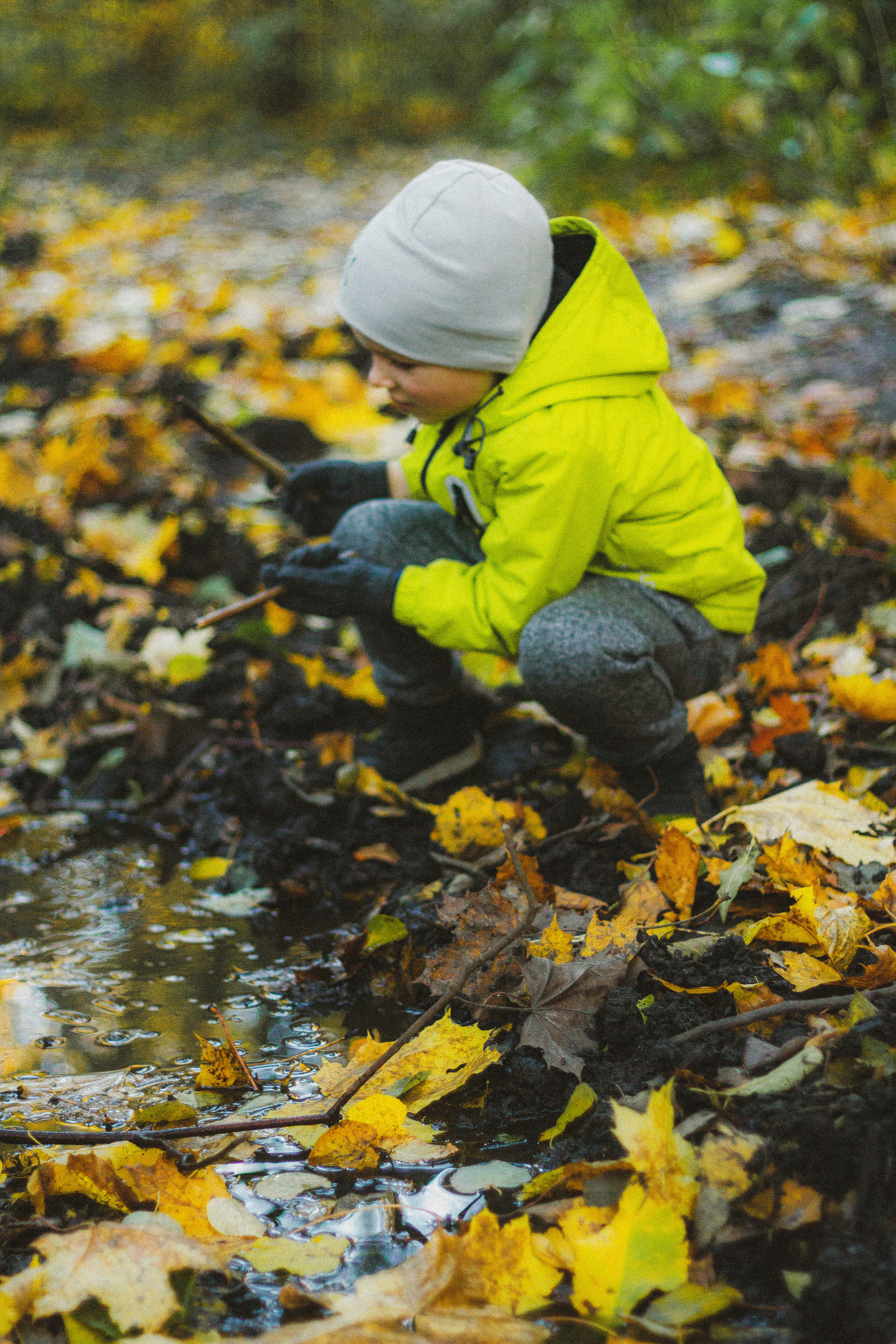 Прогулка по эко-тропе Лисий нос. Фотограф в Санкт-Петербурге