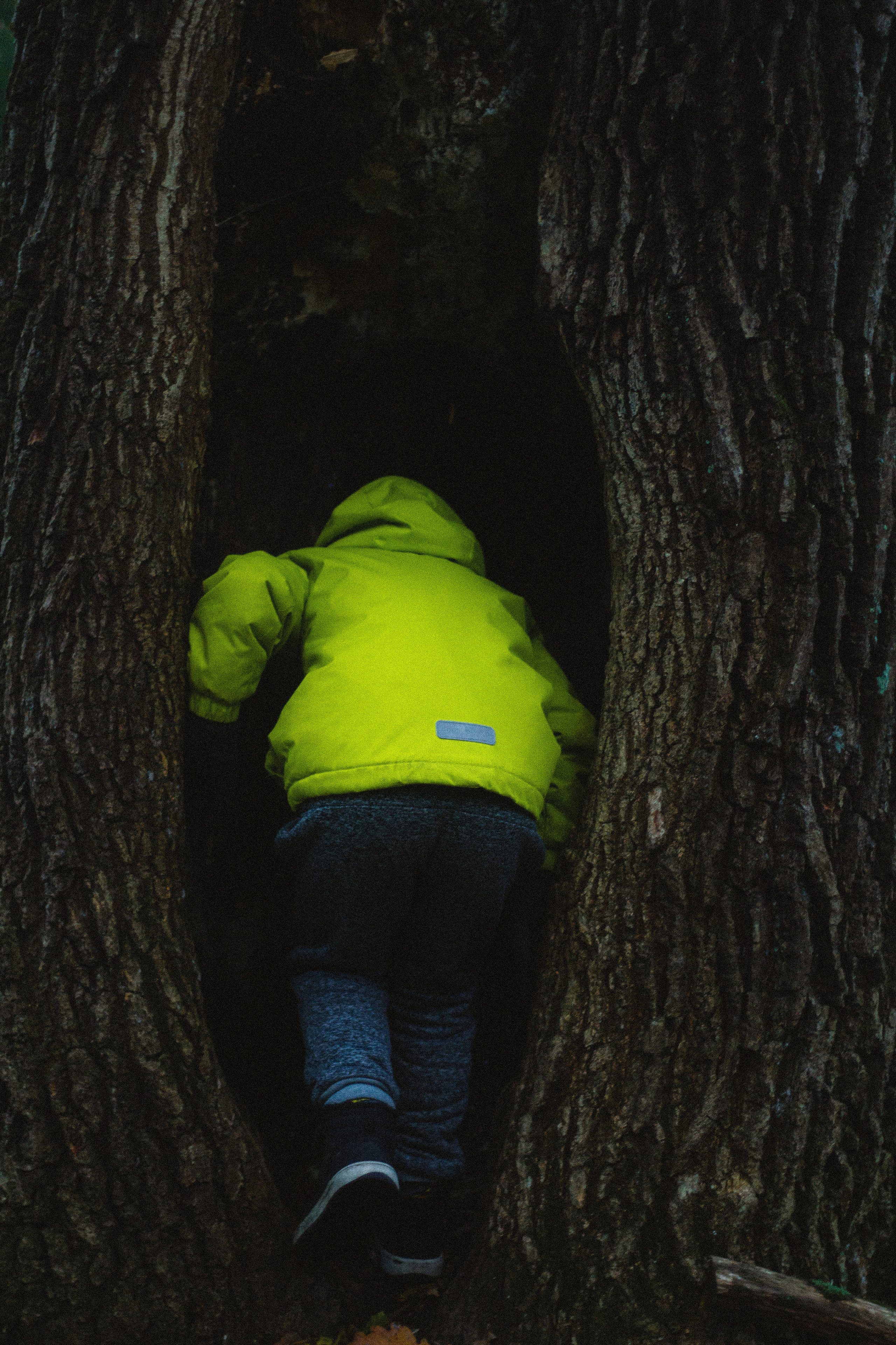 Прогулка по эко-тропе Лисий нос. Фотограф в Санкт-Петербурге